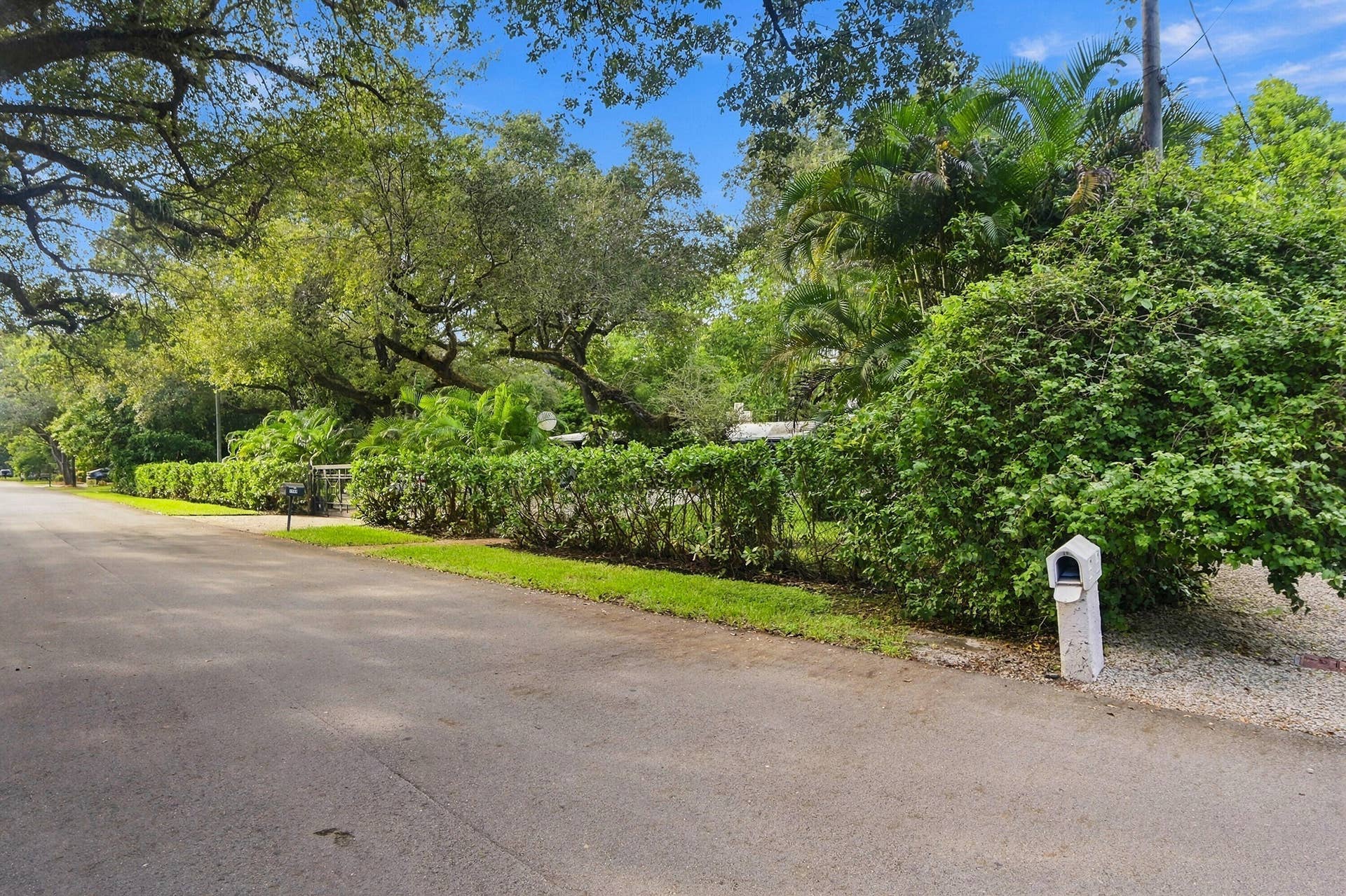 1549 SW 30th Place, Fort Lauderdale, FL 33315 Lush landscaping with mature trees and dense shrubbery along a paved roadway