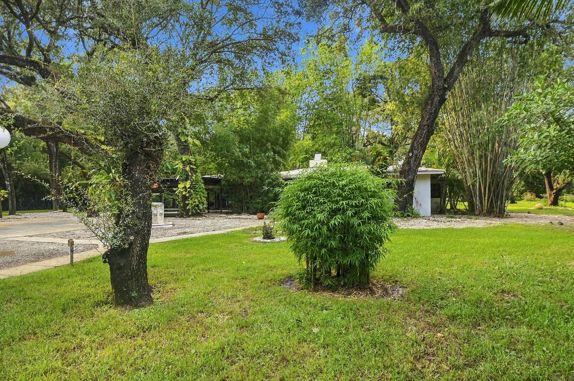 1549 SW 30th Place, Fort Lauderdale, FL 33315 Expansive green lawn, mature trees, gravel driveway, and lush bamboo