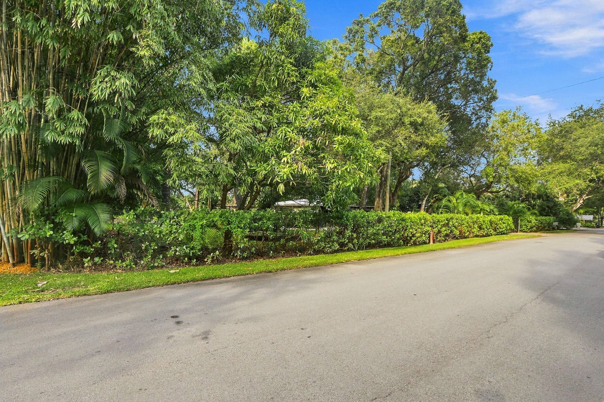 1549 SW 30th Place, Fort Lauderdale, FL 33315 Lush landscaping with mature trees, verdant foliage, and a manicured hedge line