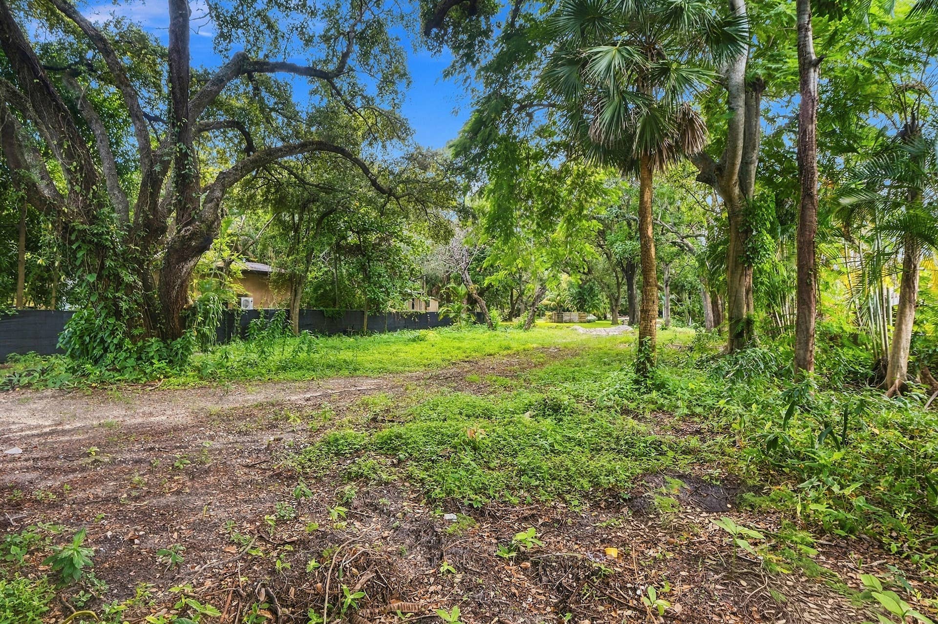 1549 SW 30th Place, Fort Lauderdale, FL 33315 Expansive lot featuring mature trees, lush foliage, and a natural ground cover