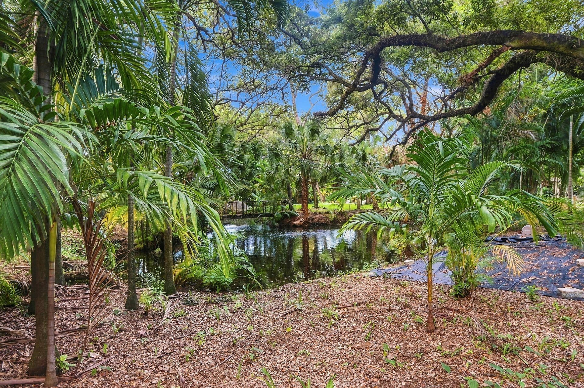 1549 SW 30th Place, Fort Lauderdale, FL 33315 Pond with reflective water, surrounded by diverse foliage and mature trees