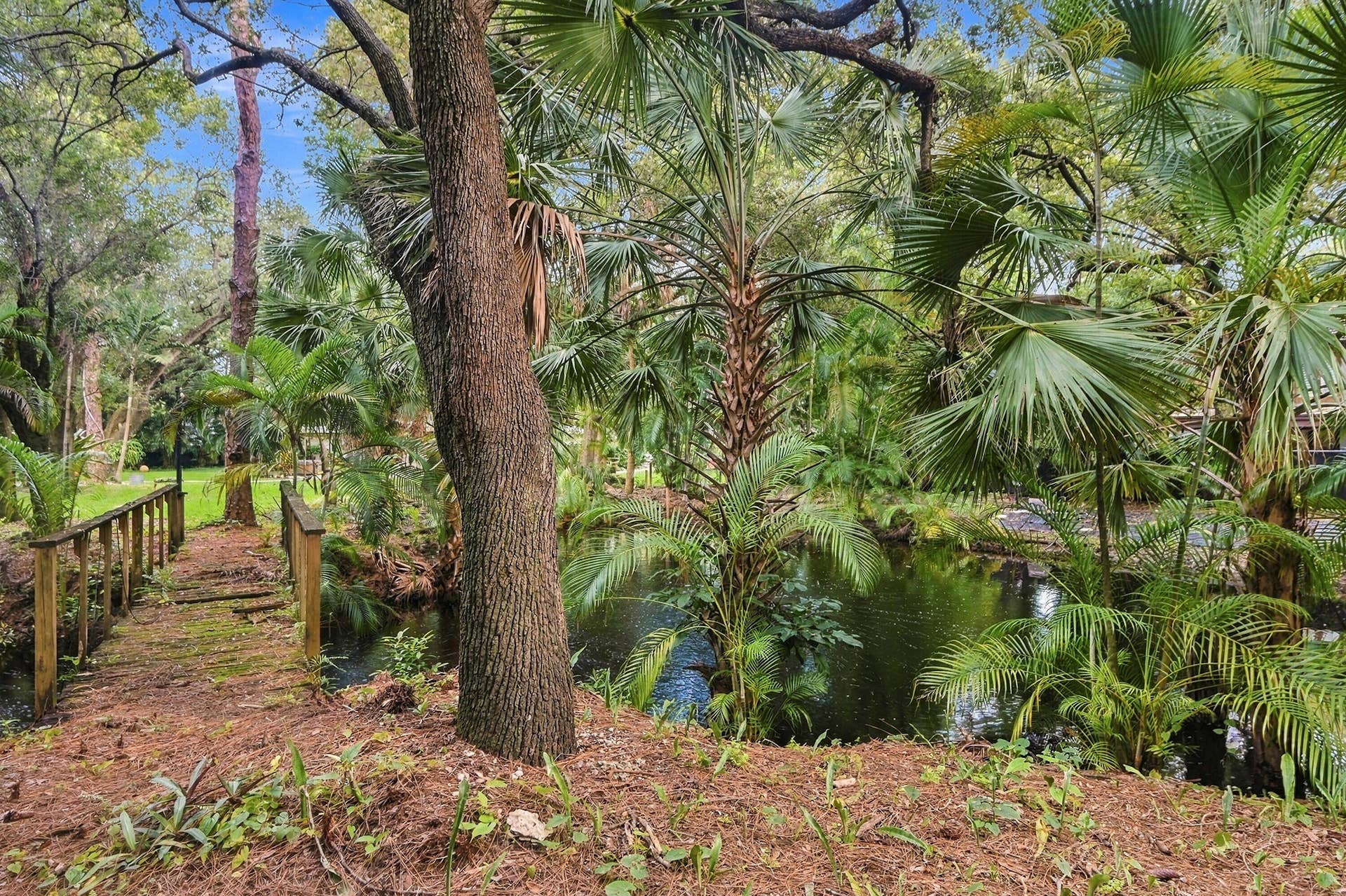 1549 SW 30th Place, Fort Lauderdale, FL 33315 Wood-plank bridge over a tranquil pond, surrounded by abundant tropical foliage and mature trees