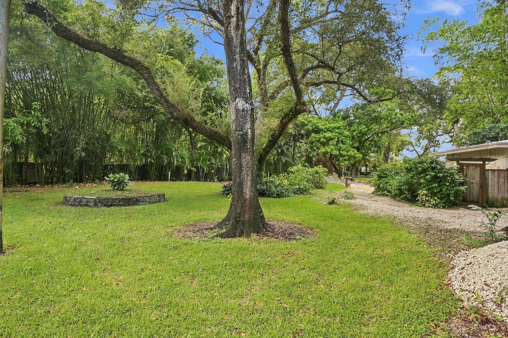 1549 SW 30th Place, Fort Lauderdale, FL 33315 Expansive lawn area with mature trees, established bamboo, and a stone-edged planter