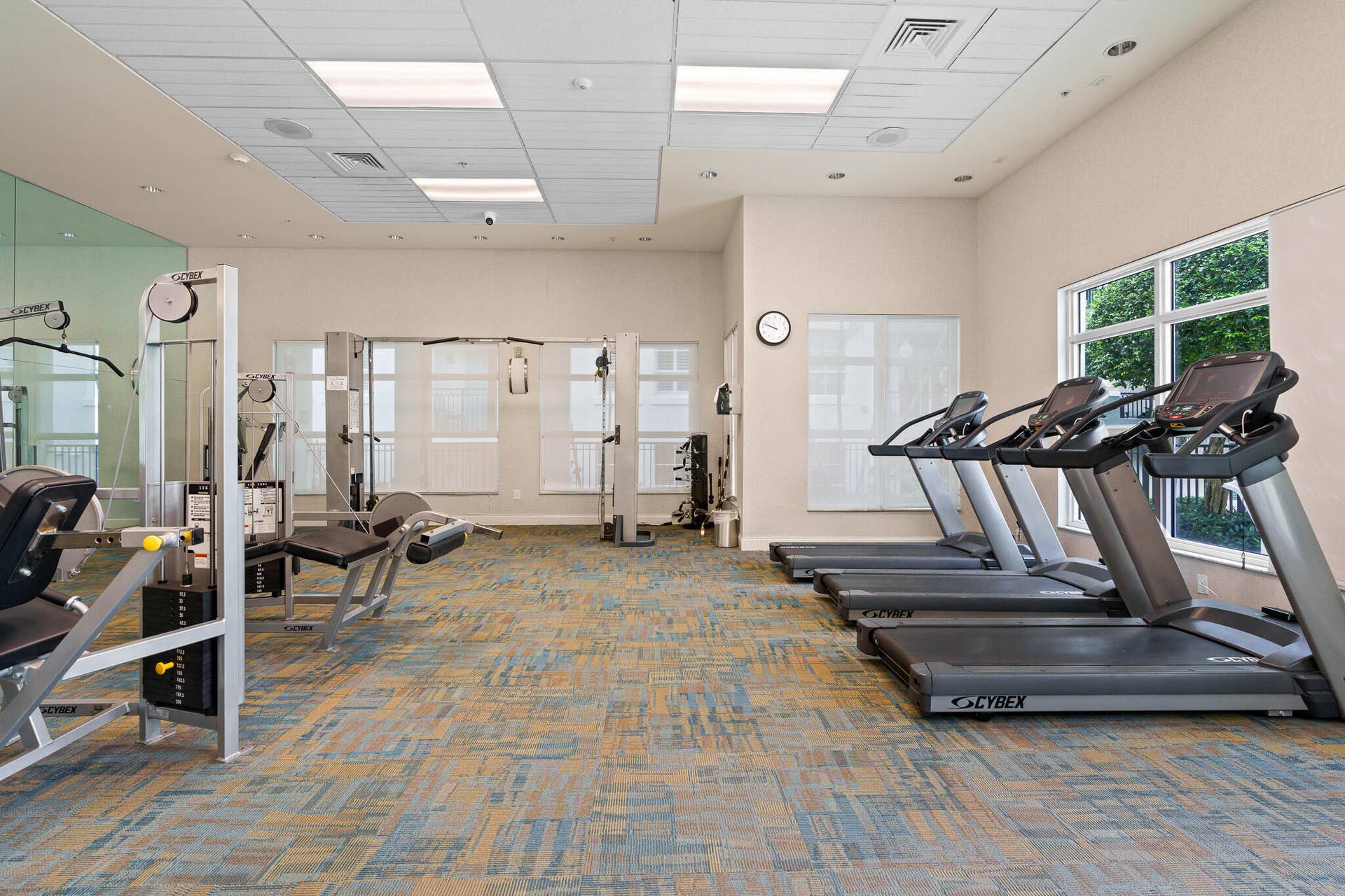 600 S DIXIE Highway, #544, West Palm Beach, West Palm Beach, FL 33401 Gym