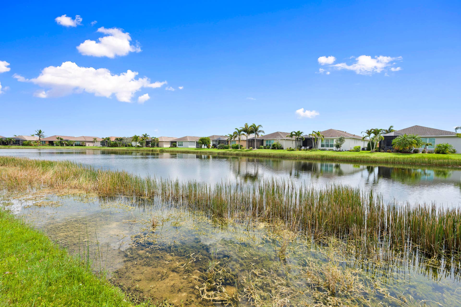 Lake Views!