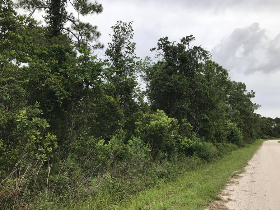Property photo for 1126 Greenfield Street, Lake Placid, FL