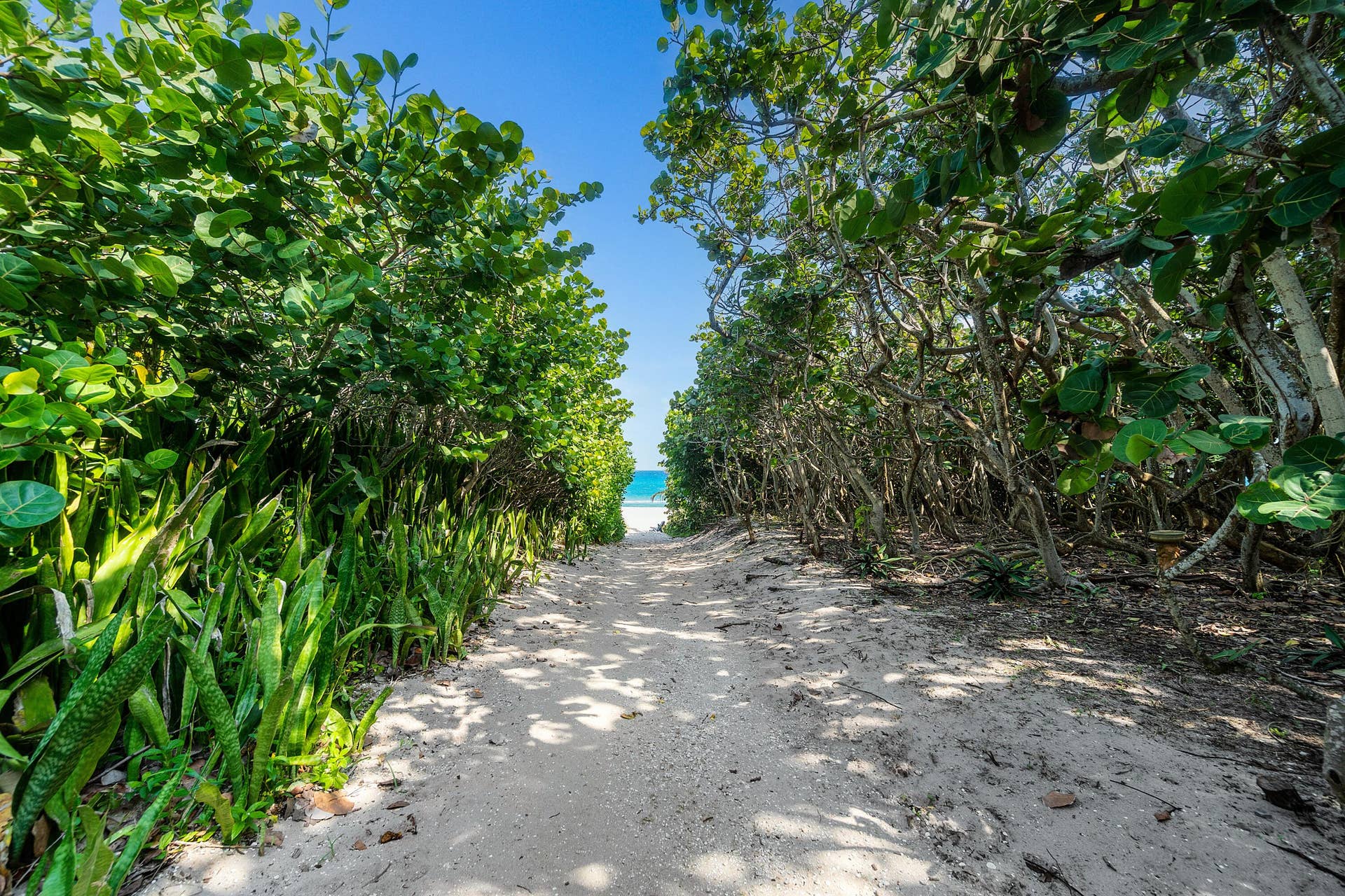 15 East Ave - Beach Path
