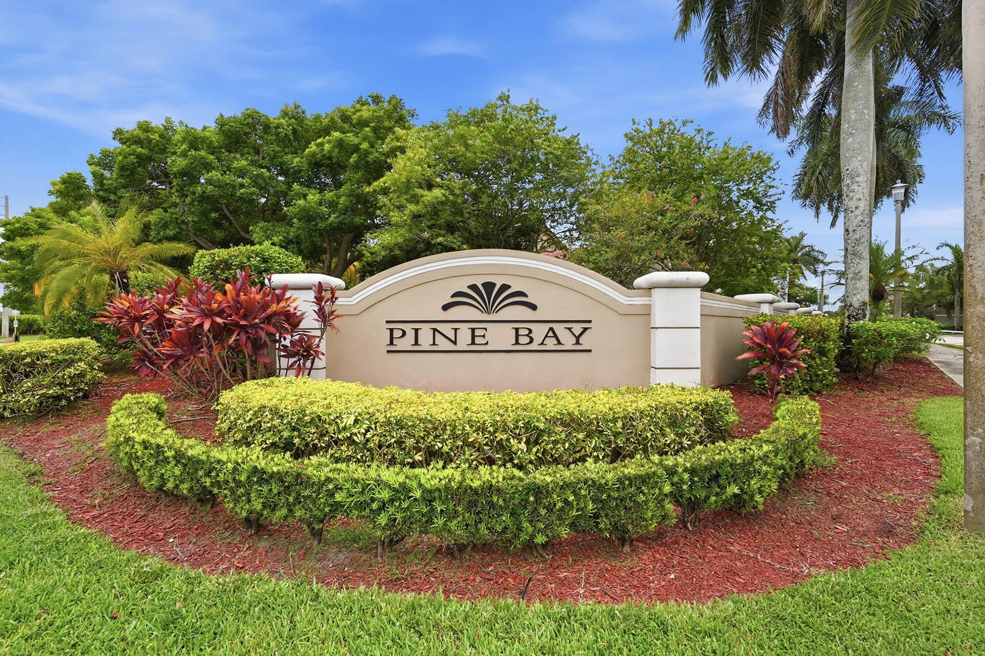 Pine Bay