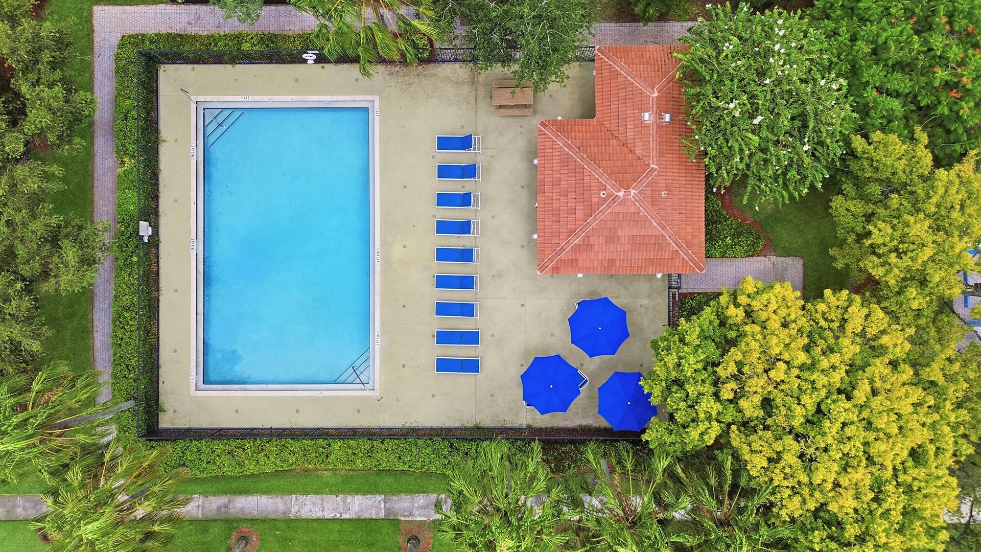 aerial