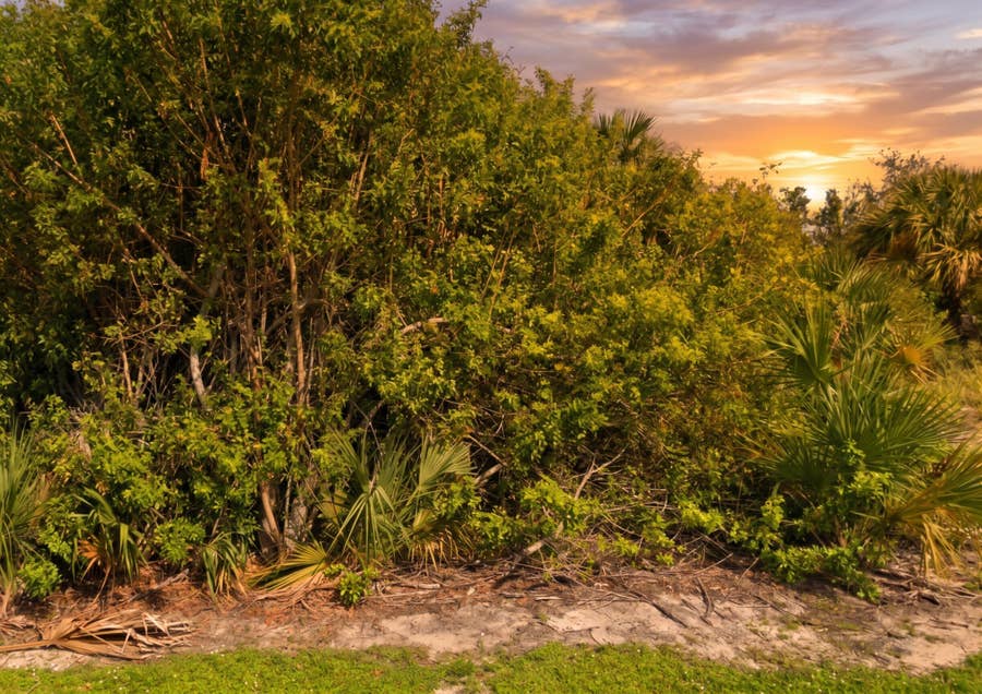 Property photo for 2300 42nd Street, Vero Beach, FL