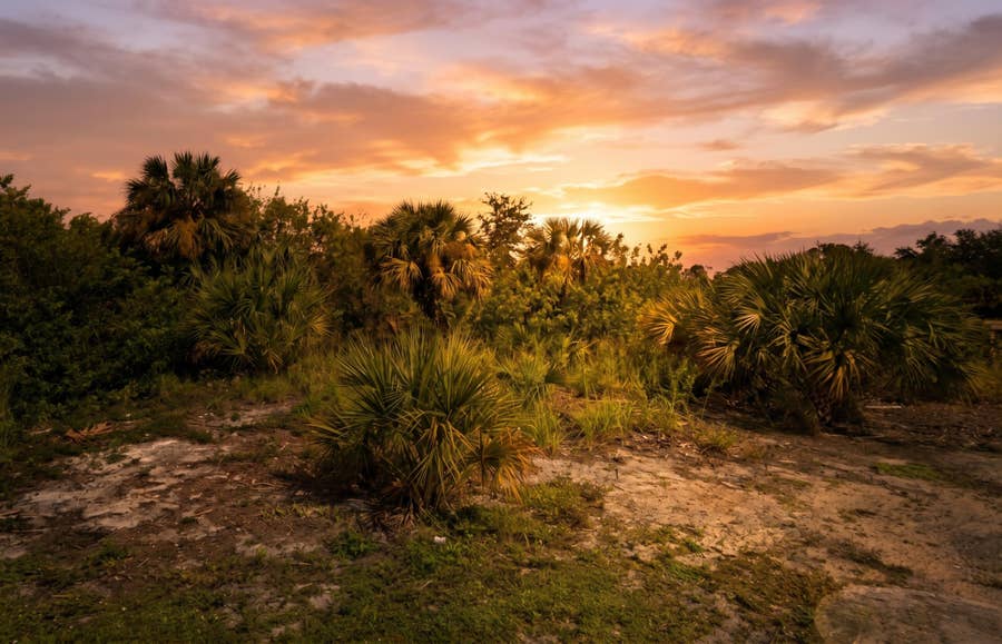 Property photo for 2290 42nd Street, Vero Beach, FL