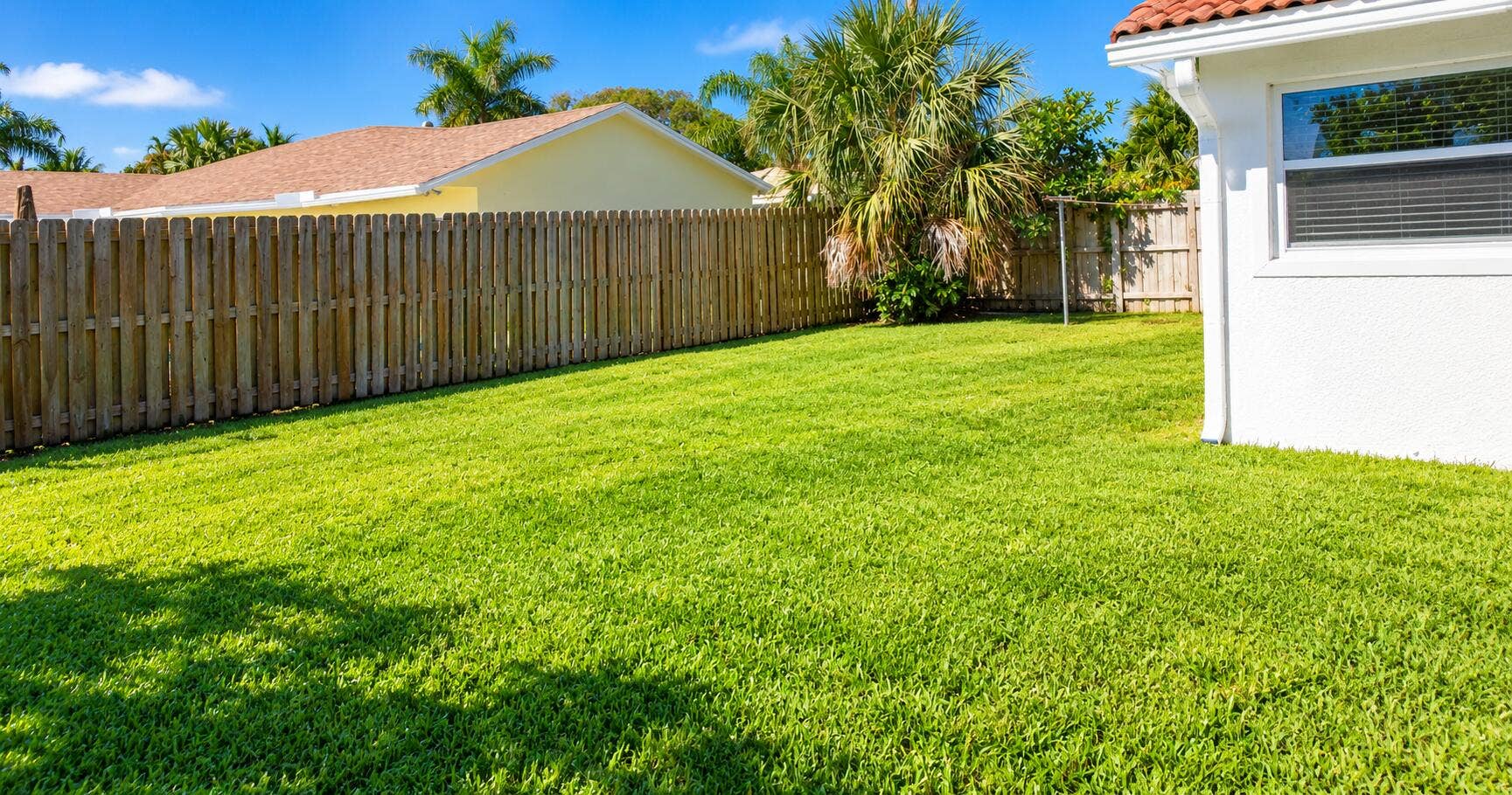 266 SW 12TH Street, Boca Raton, Boca Raton, FL 33432 Sunlit Tropical Backyard Lawn