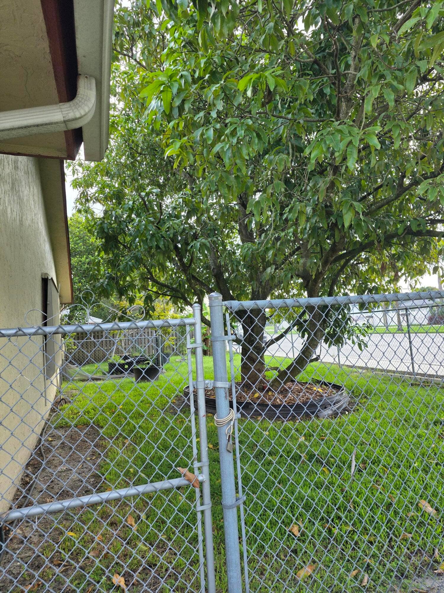 2000 NW 70TH Lane, Margate, FL 33063 South Side of house