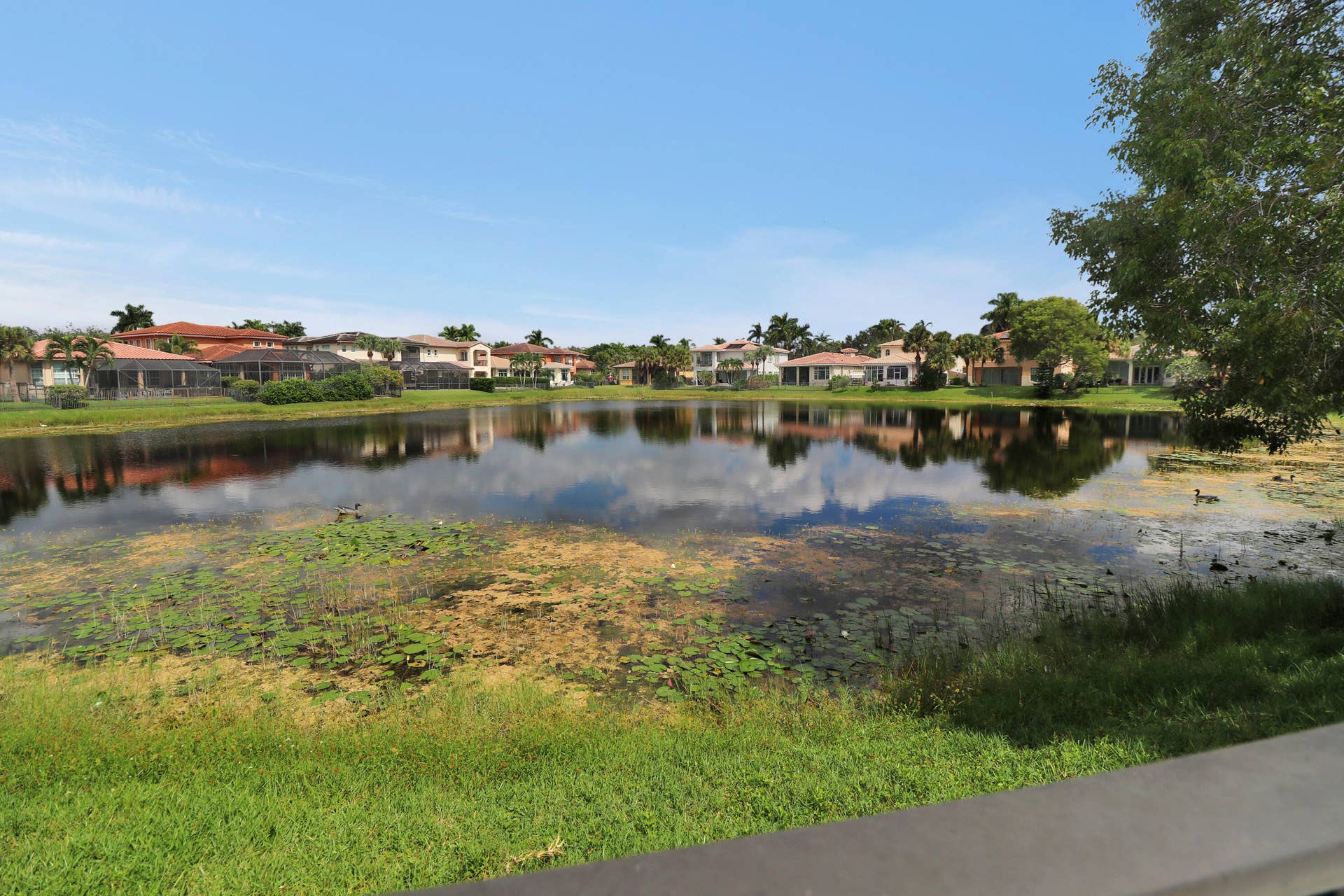 8217 NW 107th Terrace, Parkland, FL 33076 IMG_1349