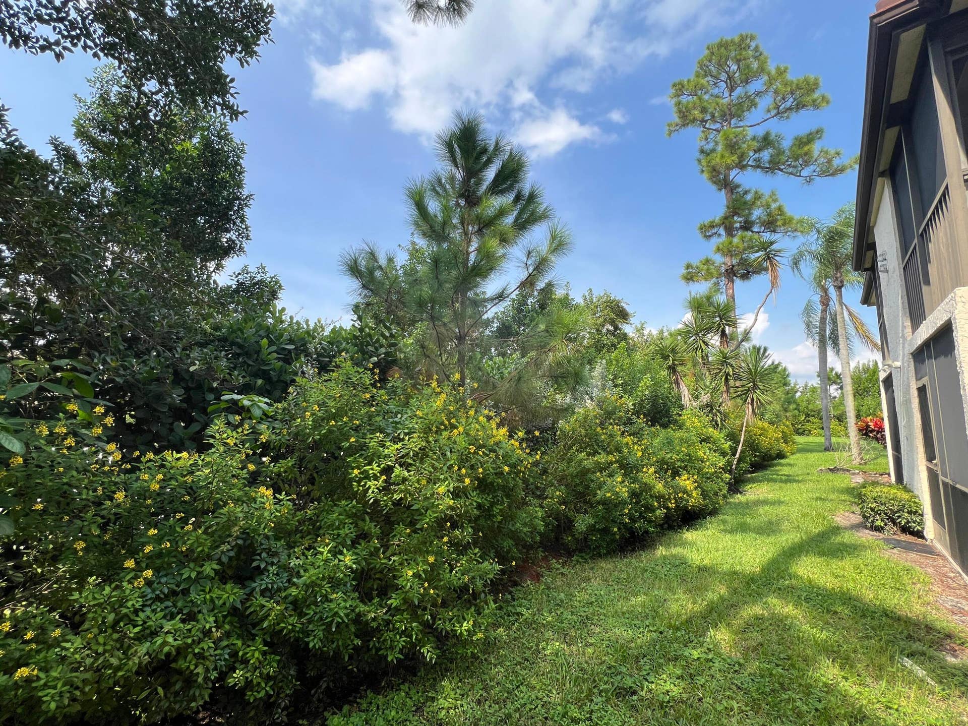 7281 Golf Colony Court, #203, Lake Worth, FL 33467 View