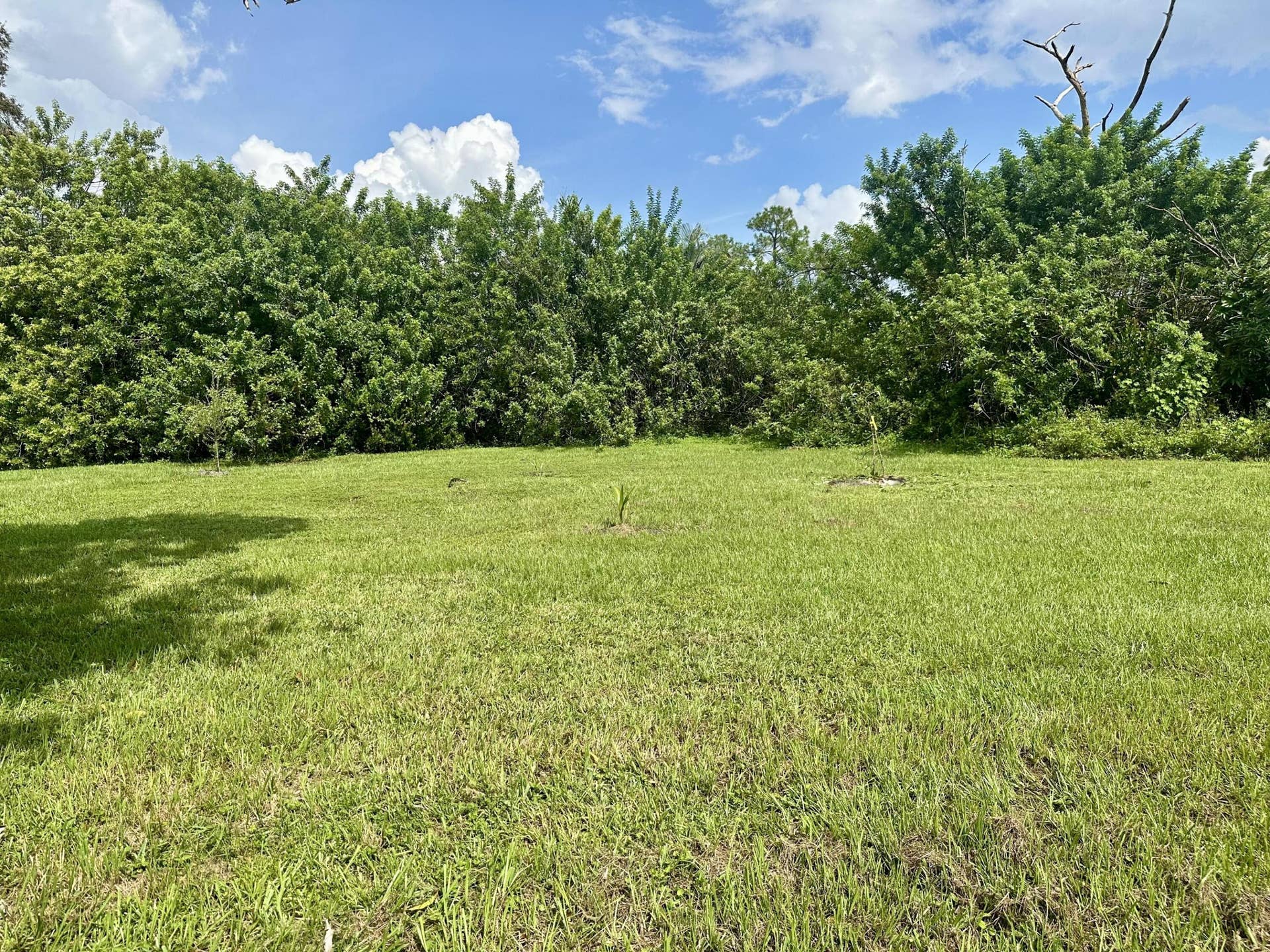 13399 53RD Court N, West Palm Beach, The Acreage, FL 33411 007
