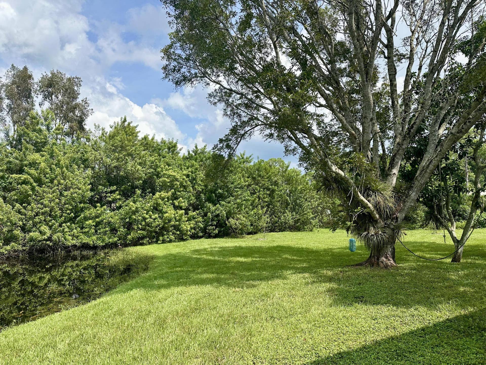 13399 53RD Court N, West Palm Beach, The Acreage, FL 33411 035