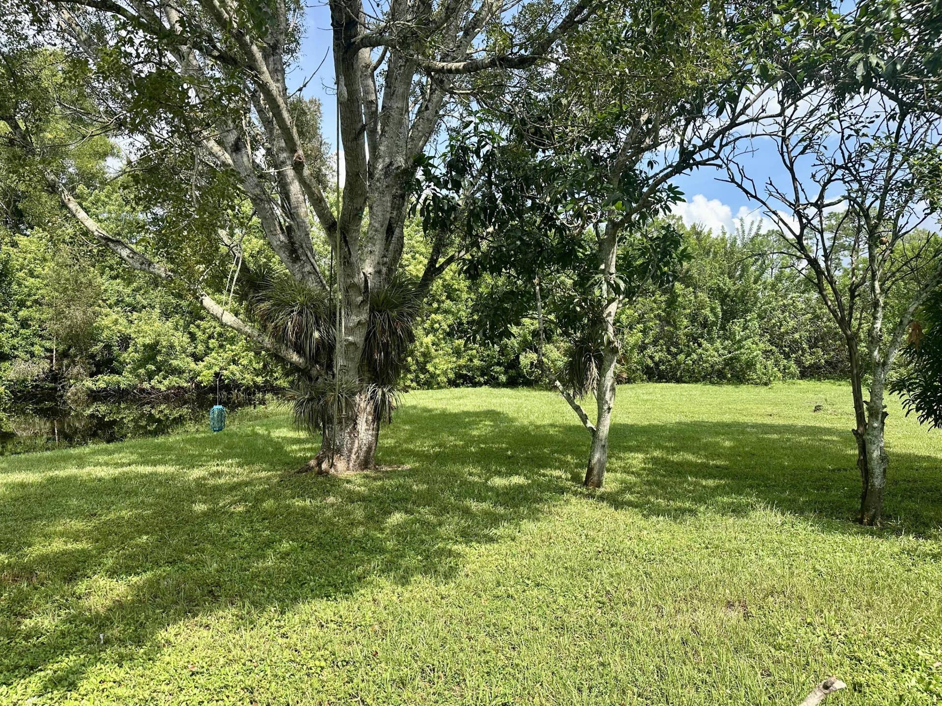 13399 53RD Court N, West Palm Beach, The Acreage, FL 33411 008