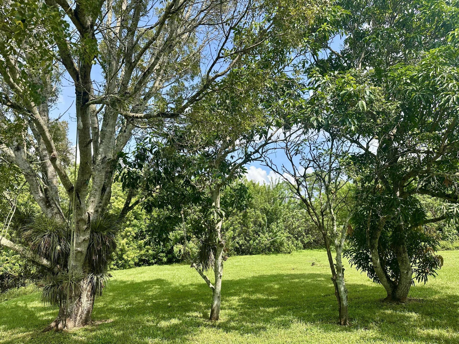 13399 53RD Court N, West Palm Beach, The Acreage, FL 33411 009