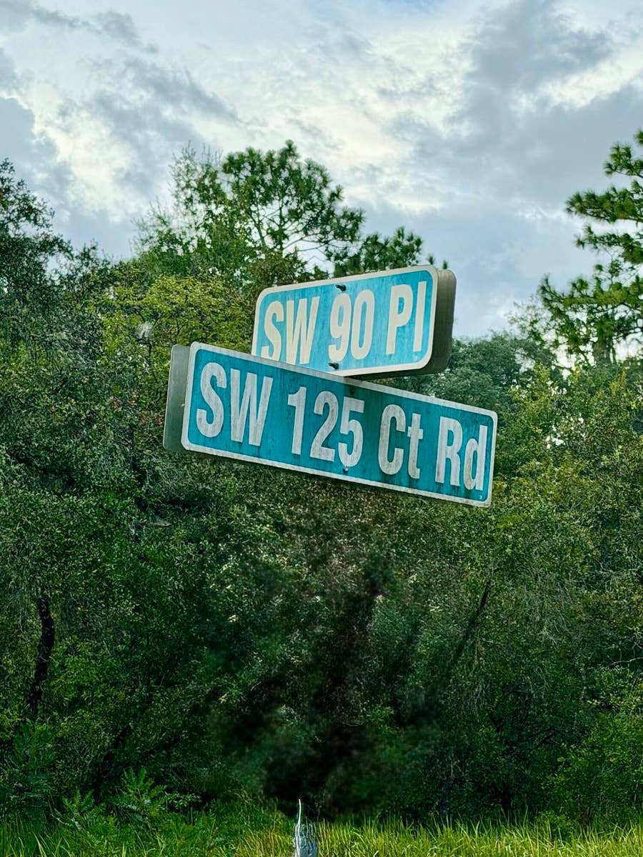 Property photo for 0 NO SITUS, Dunnellon, FL