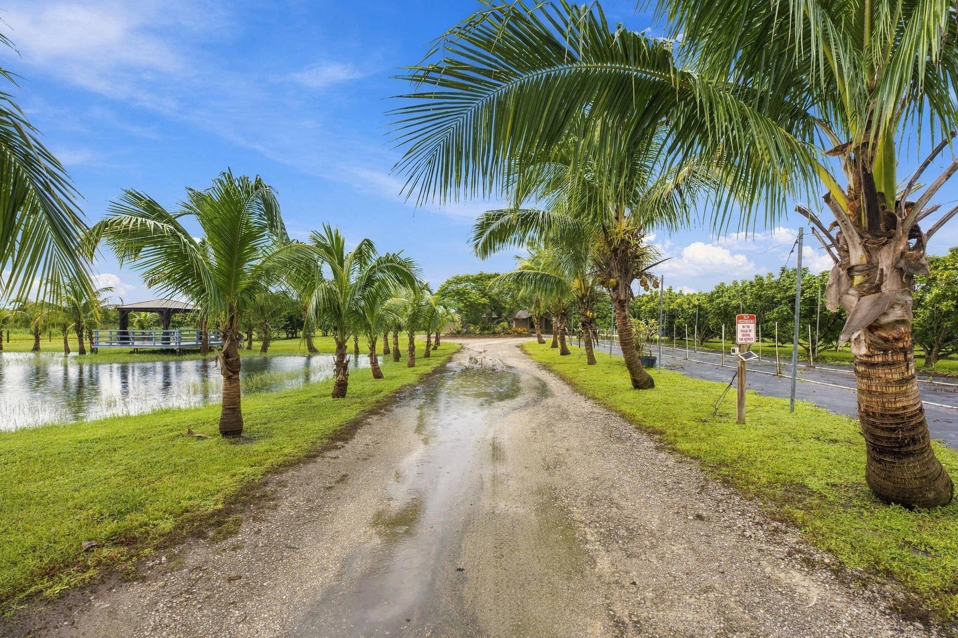20569 Marie Court, Loxahatchee, FL 33470 95__jjl2257