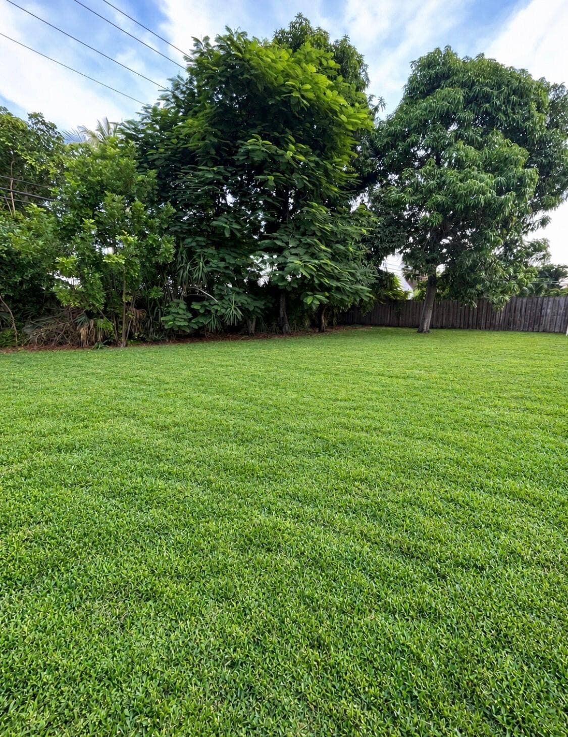 2222 NW 3rd Avenue, Boca Raton, FL 33431 Backyard