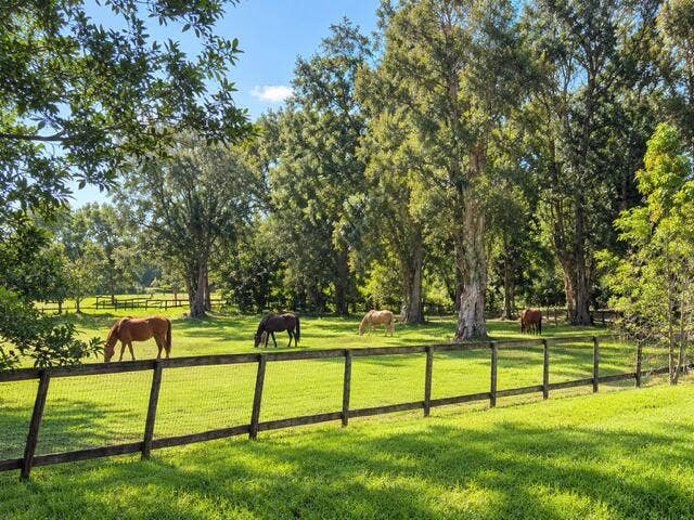 18900 SW 59th Street, Southwest Ranches, FL 33332 My envision