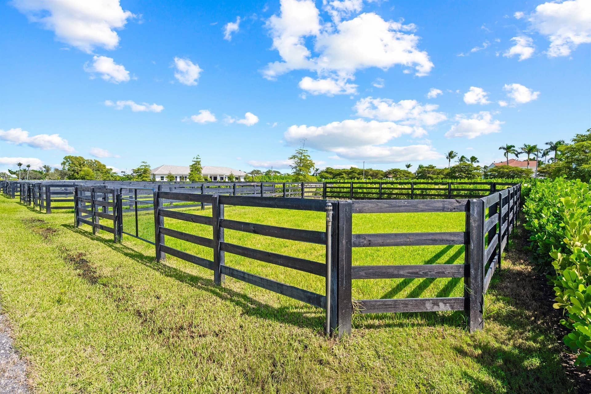 15359 Sunnyland Lane, Wellington, FL 33414 086-DSC_1016
