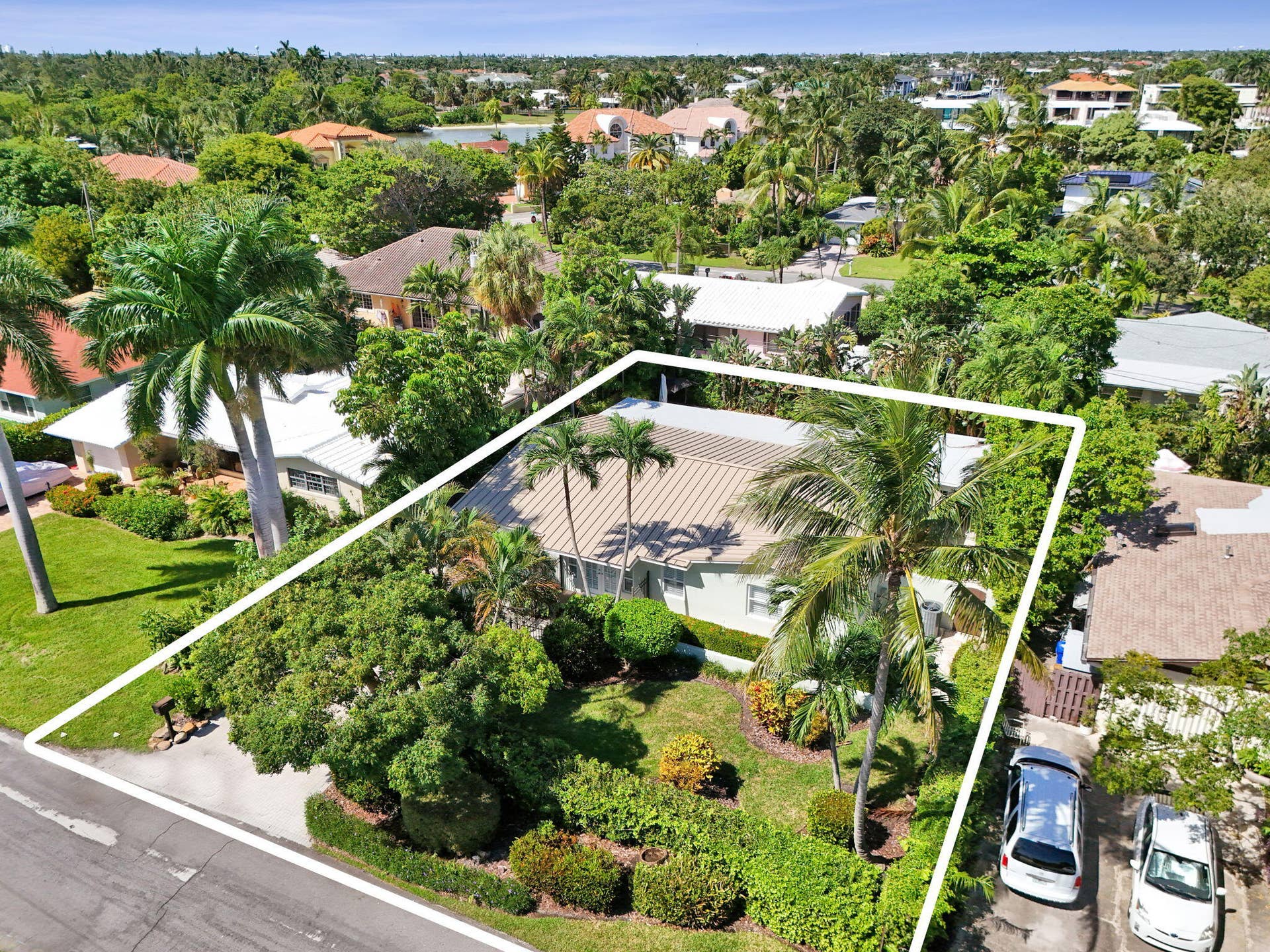 Lush tropical landscaping with mature palm trees and established plantings
