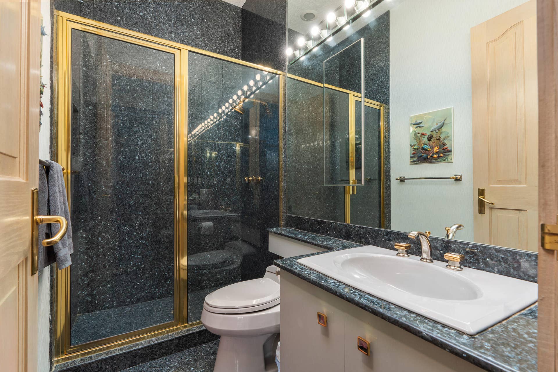 1800 EAGLE TRACE Boulevard, Coral Springs, FL 33071 DSC05859-Edit