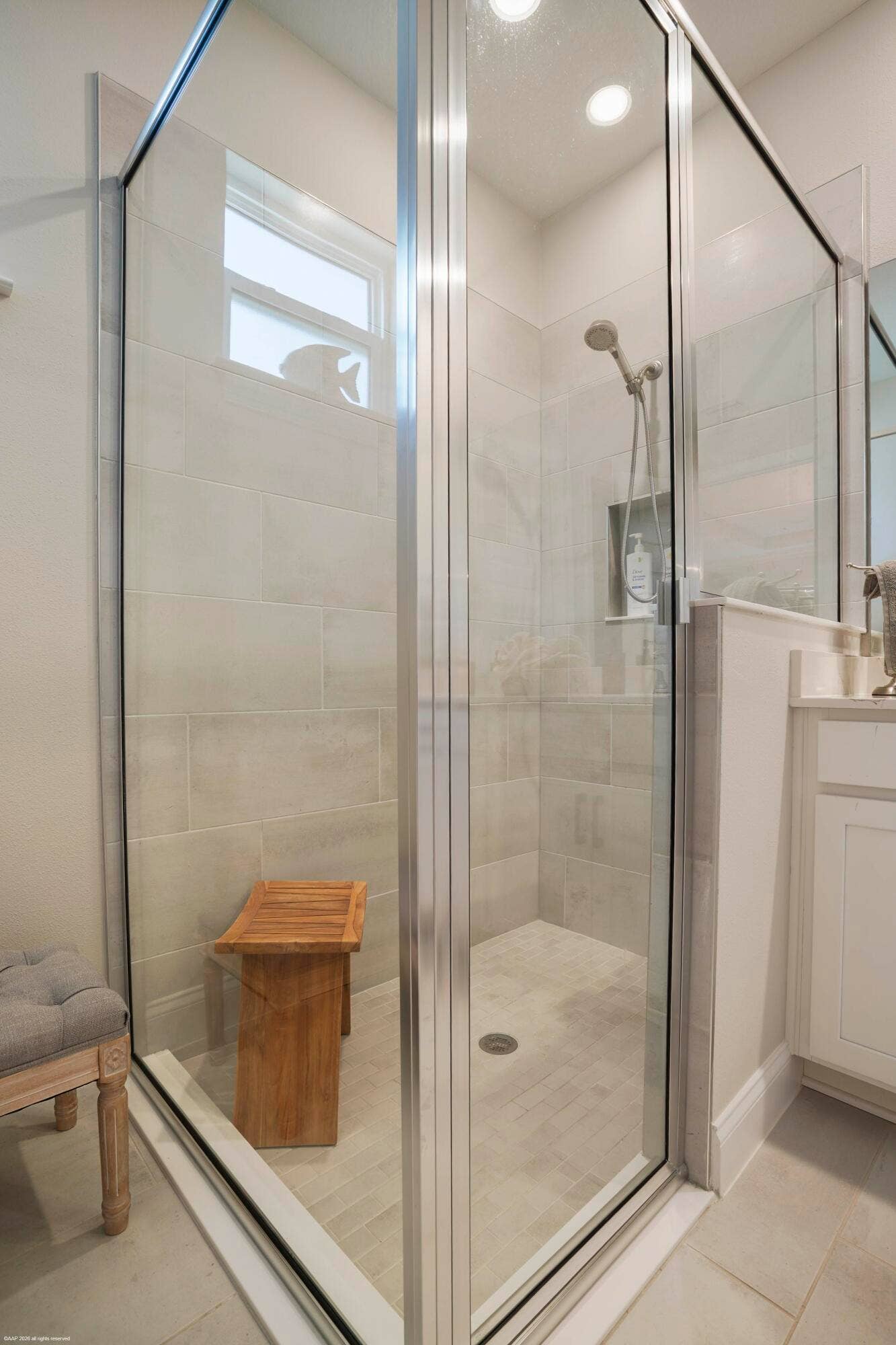 Walk-in shower with glass enclosure