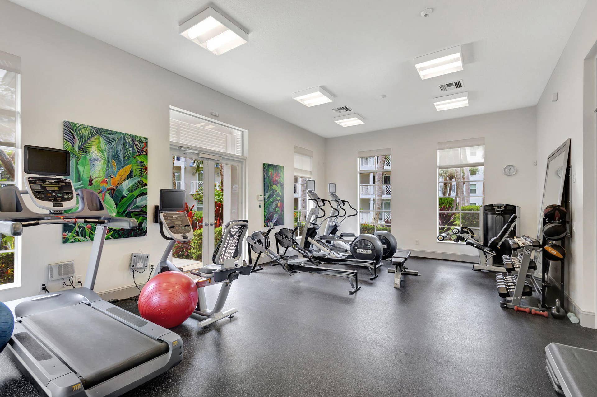 Gym