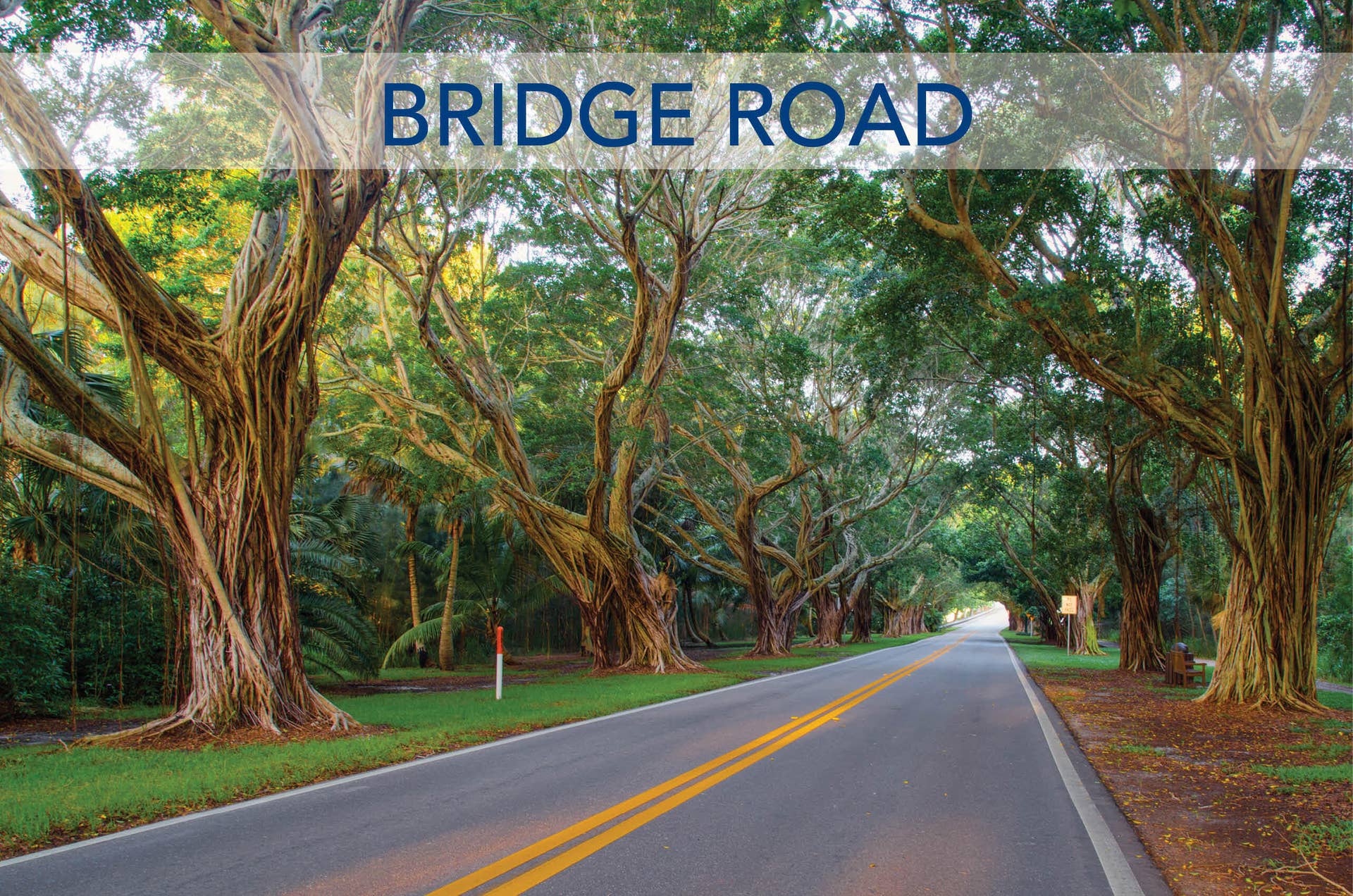 18779 SE RIVER RIDGE Road, Jupiter, FL 33469 Lifestyle Photos -10