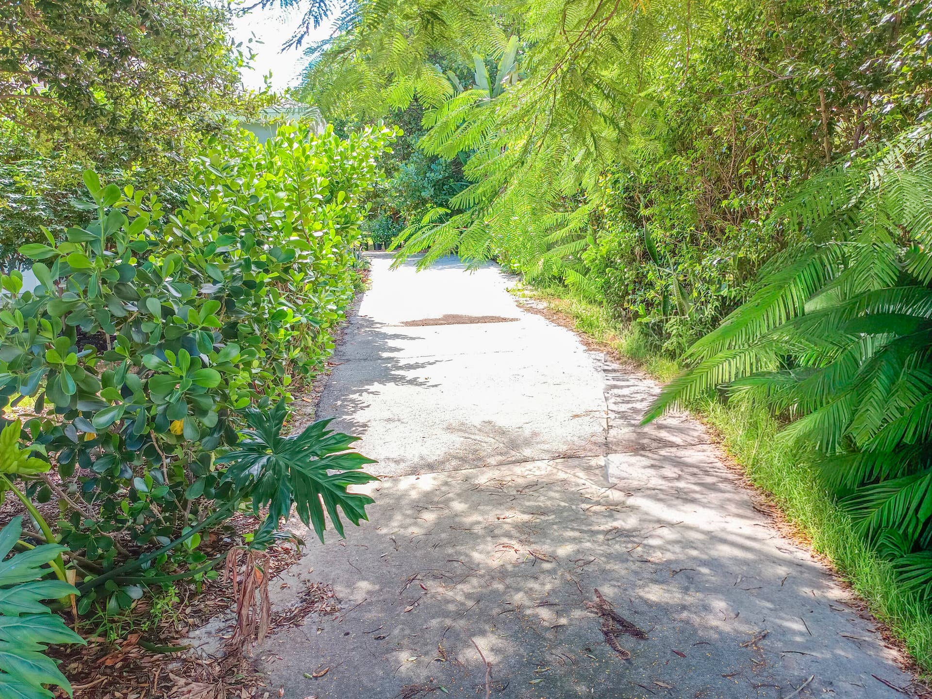 1147 15TH Avenue N, #A, Lake Worth Beach, FL 33460 IMG_20261006_124234_757