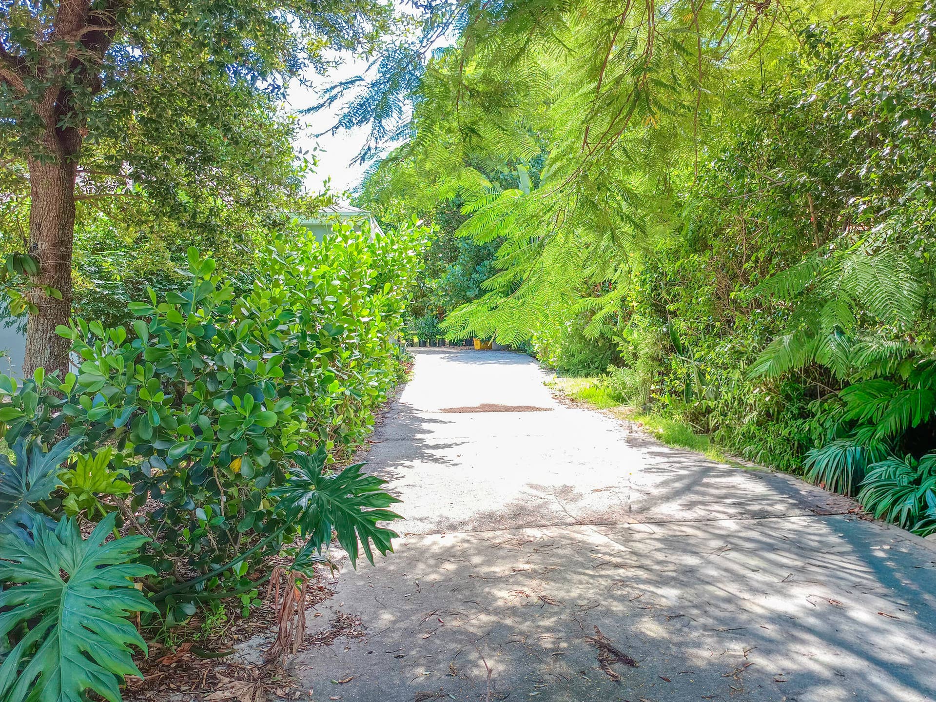 1147 15TH Avenue N, #A, Lake Worth Beach, FL 33460 IMG_20261006_124241_392