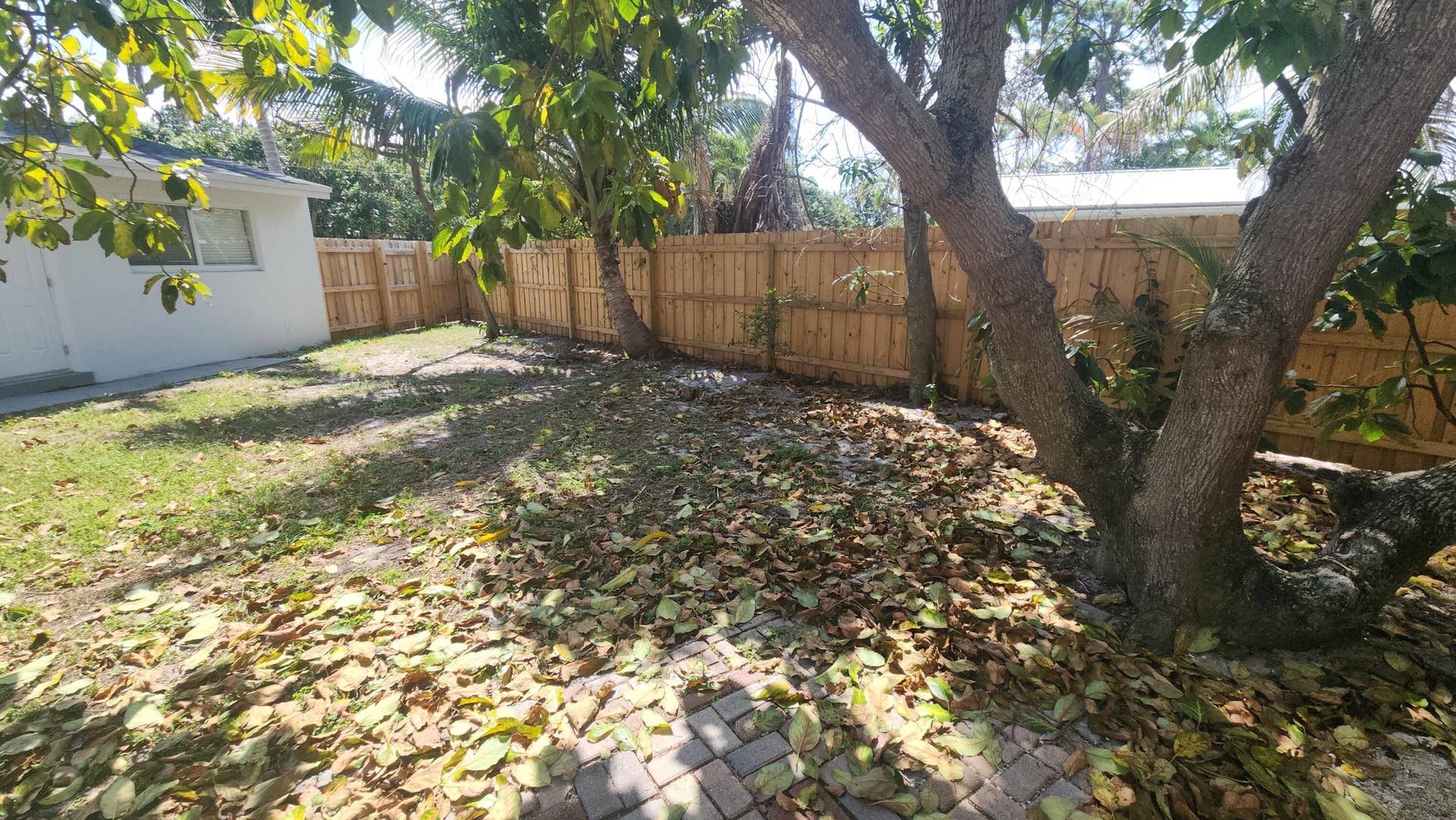 backyard