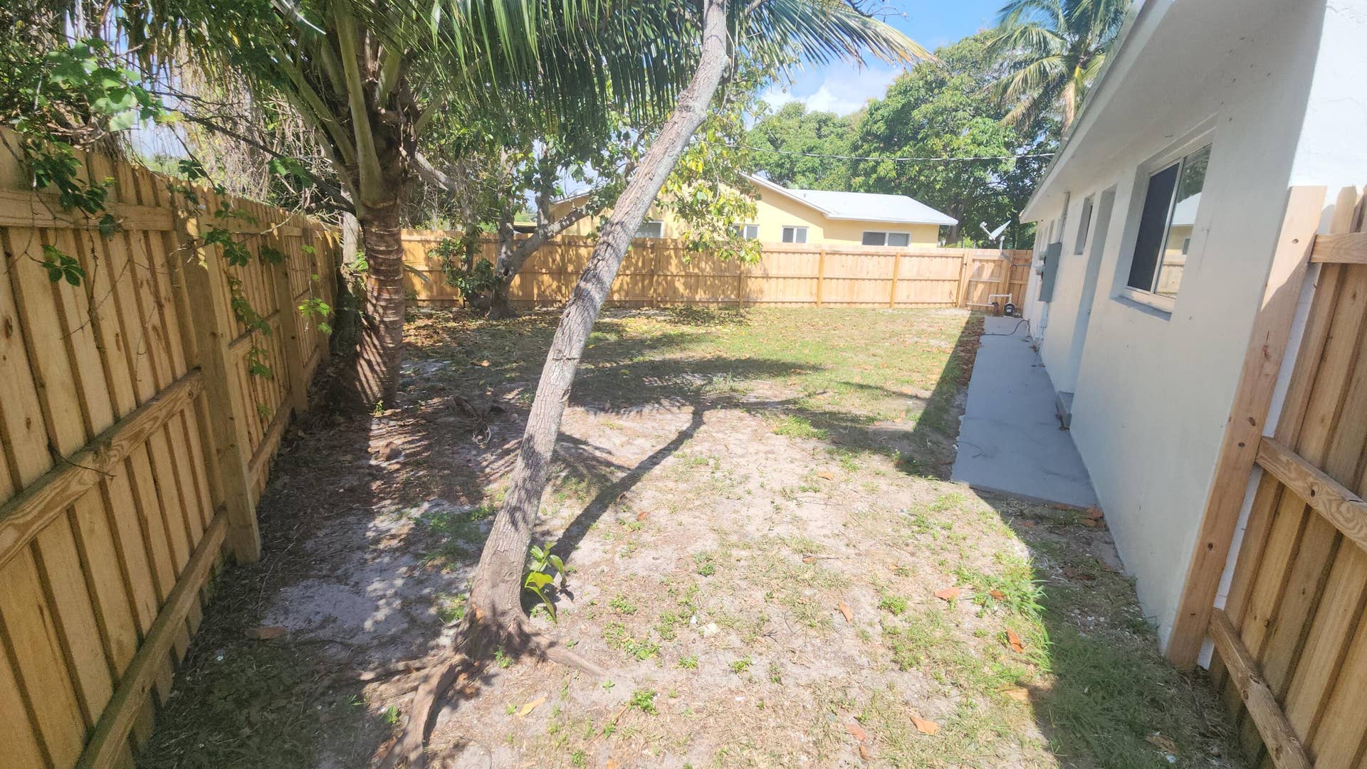 backyard