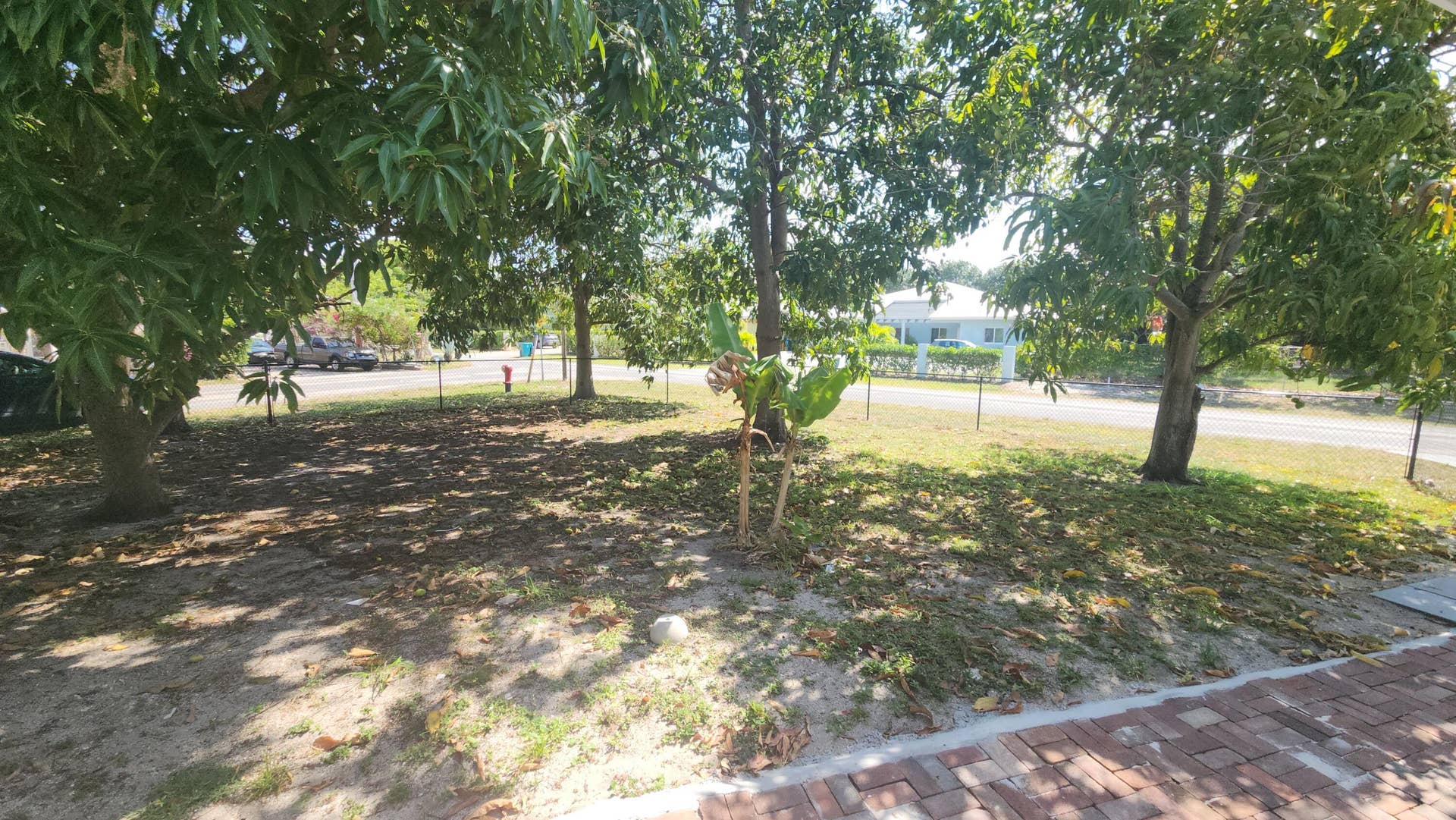 fruit trees