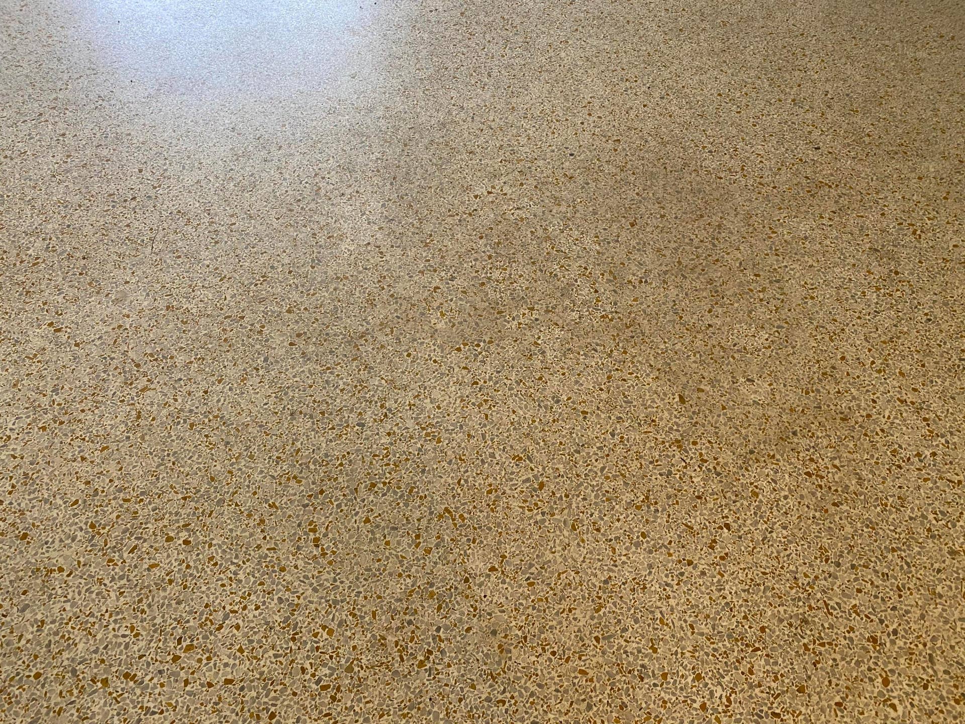 Terrazzo Floors