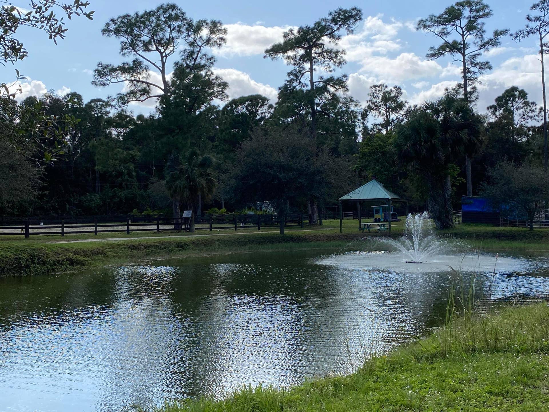 View from Cottage Area Across Pond