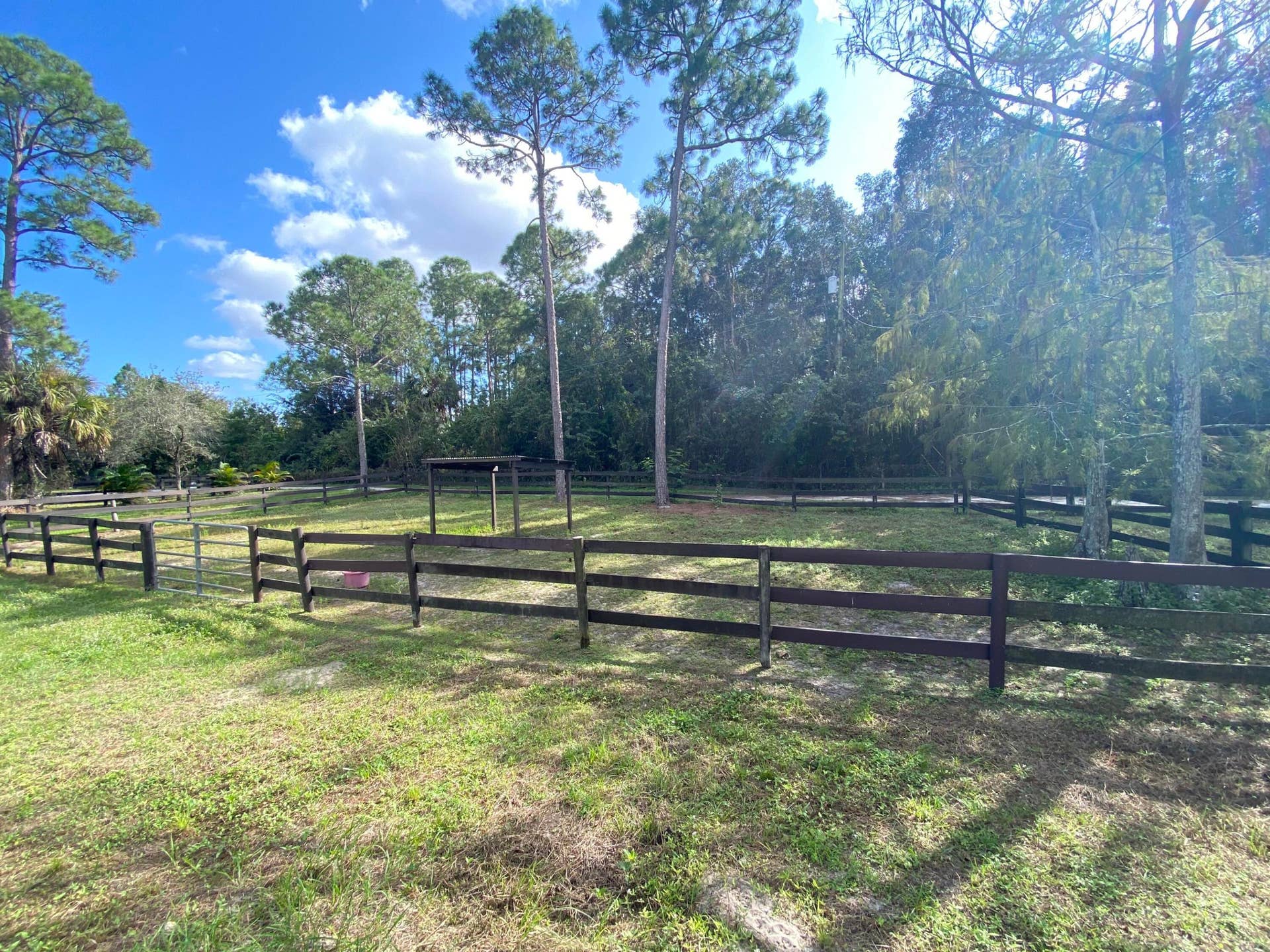 A Few of 17 Paddocks on the Property