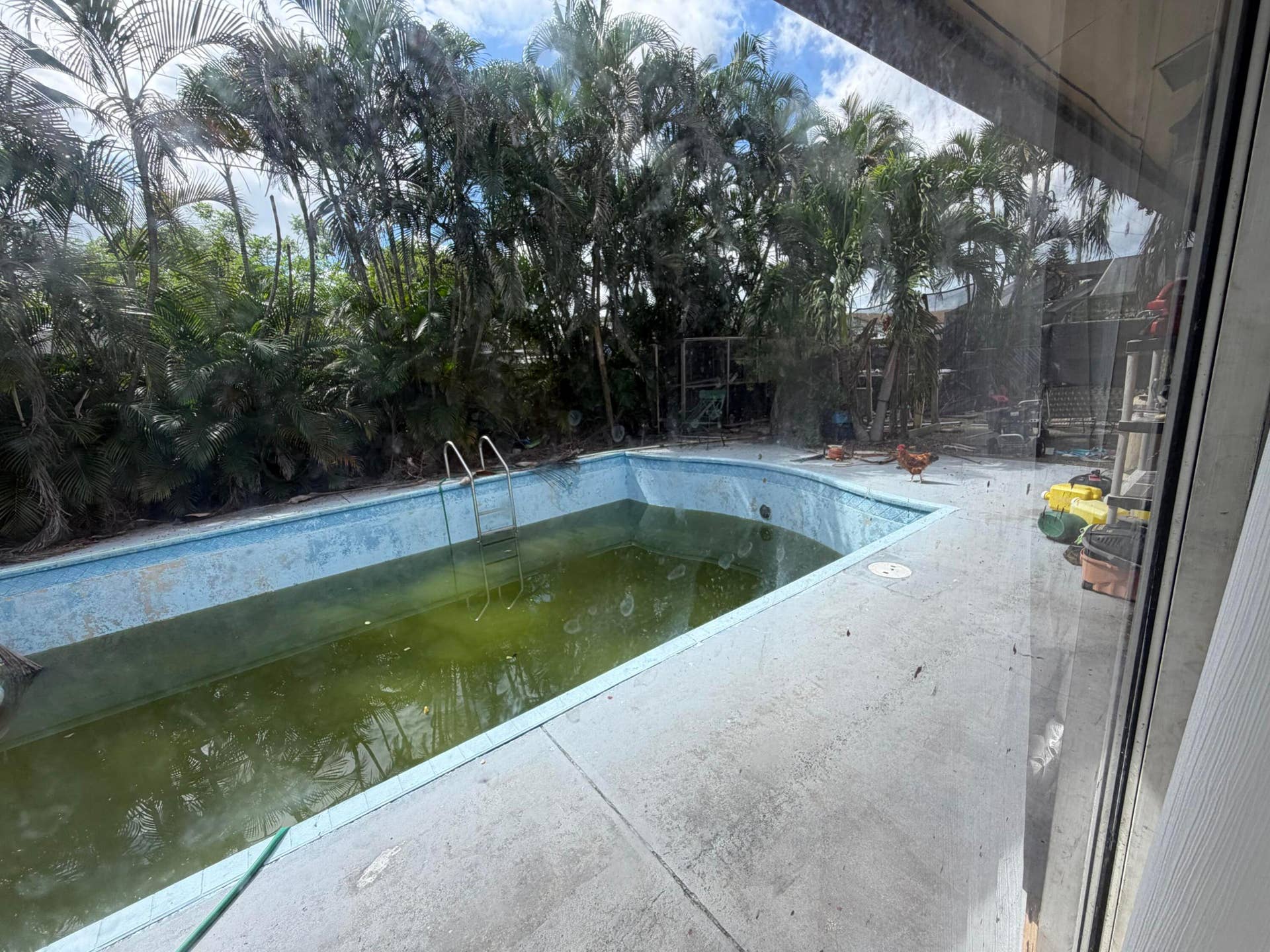 3464 ARTESIAN Drive, Lake Worth, FL 33462 IMG_5148