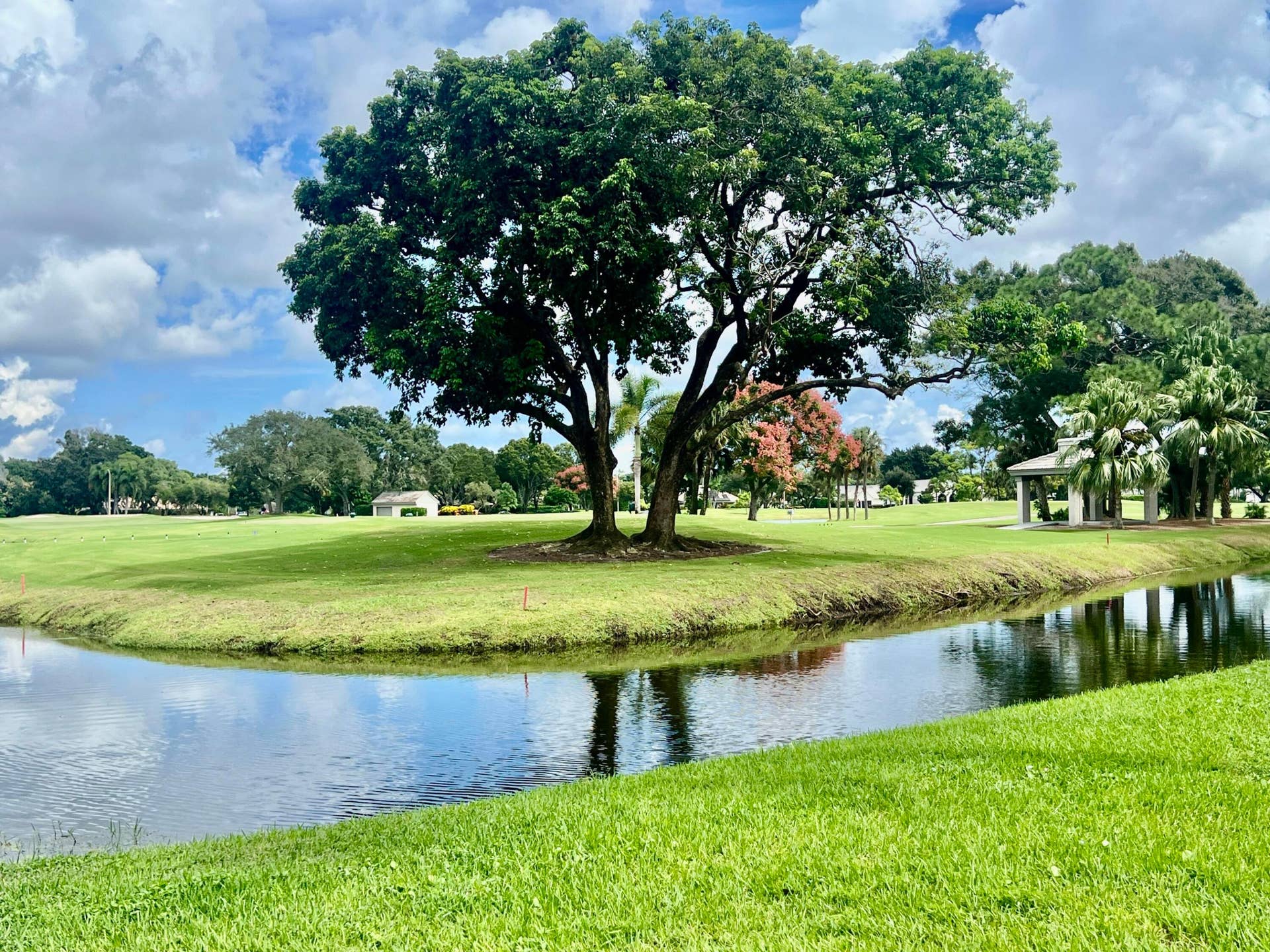 6944 BRIARLAKE Circle, #201, Palm Beach Gardens, FL 33418 Surrounding area