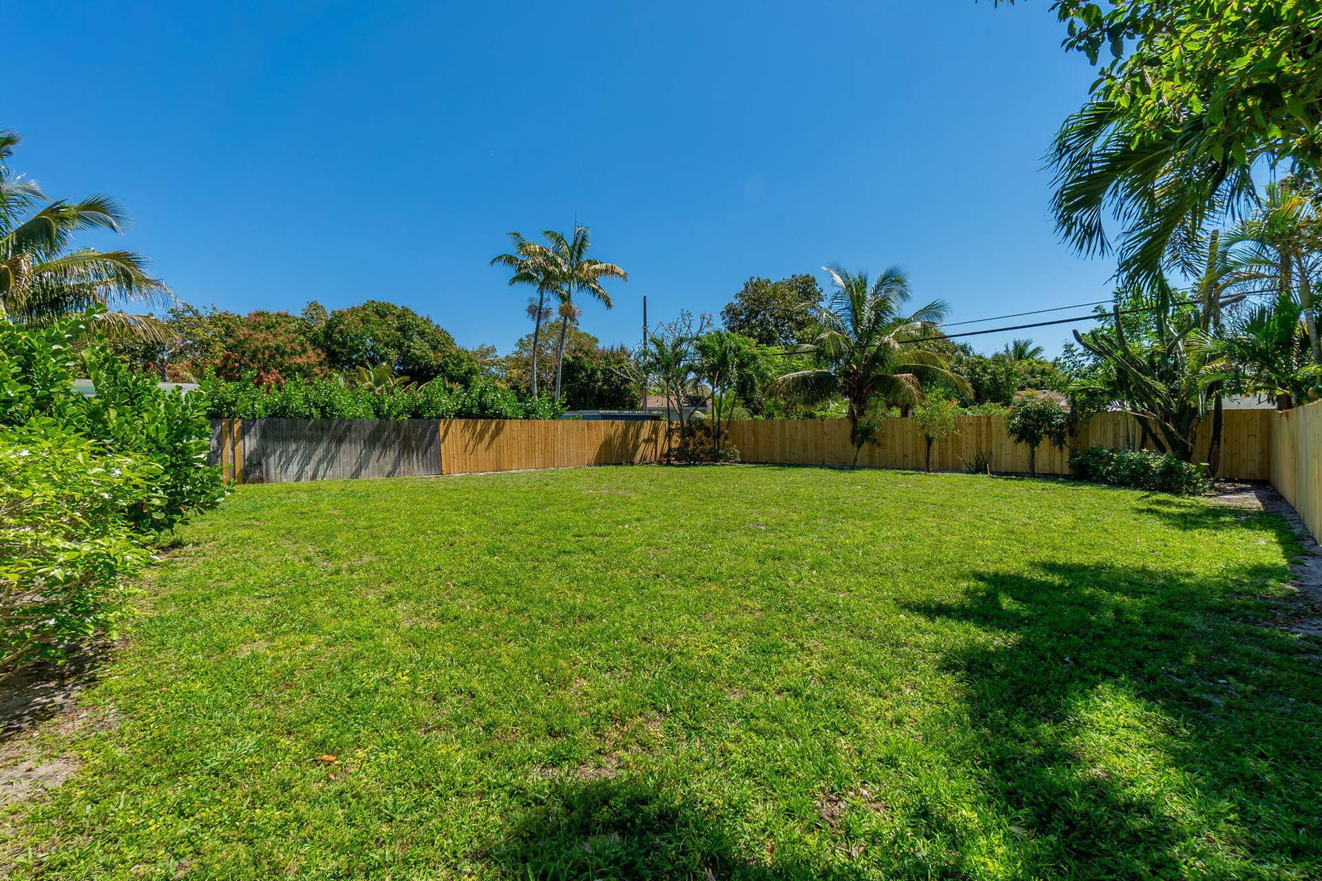 41-web-or-mls-DSC02437