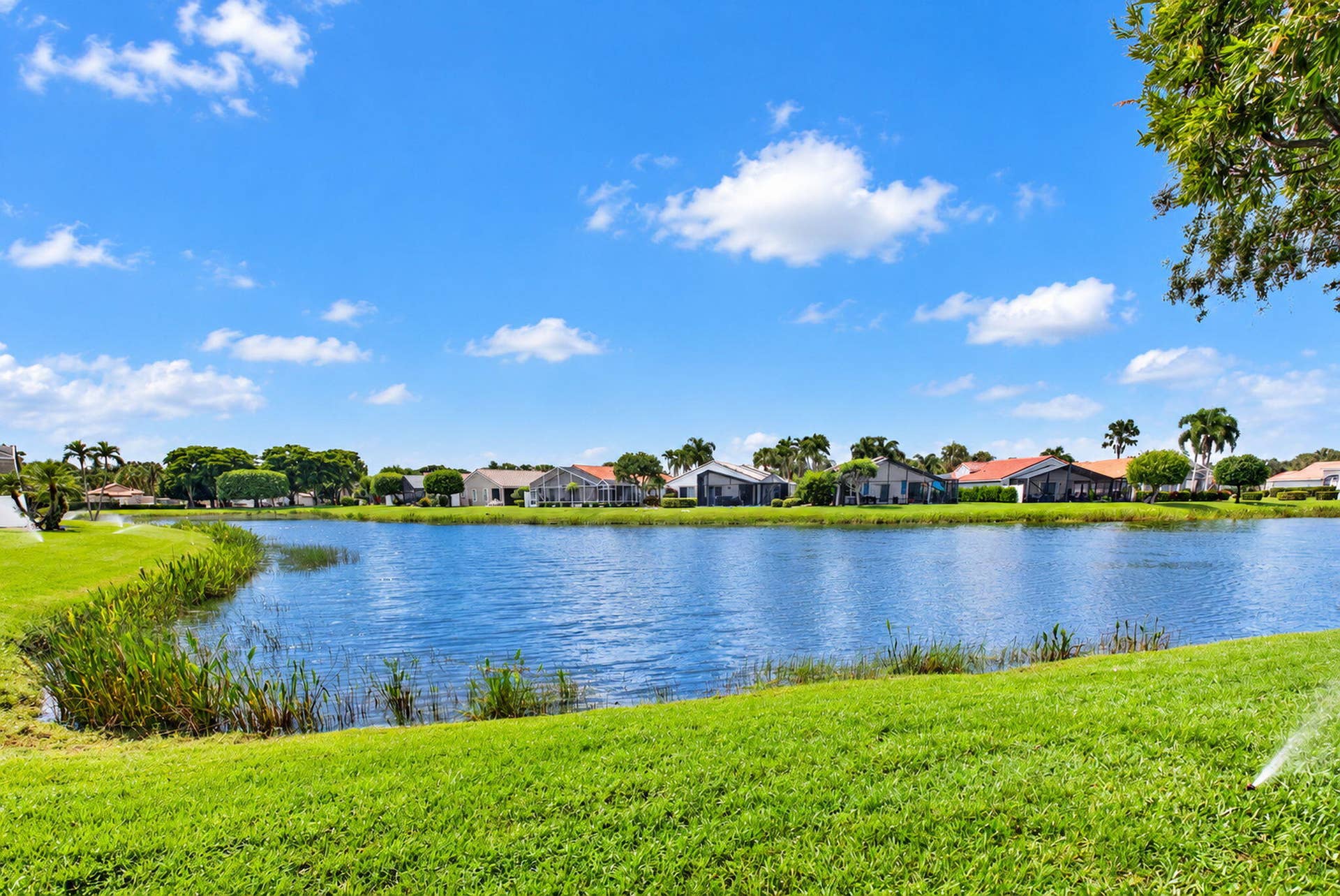 Water view