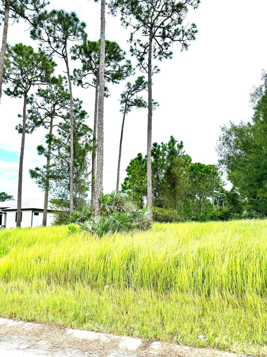 Property photo for 10615 Sugar Pine Drive, Fort Pierce, FL