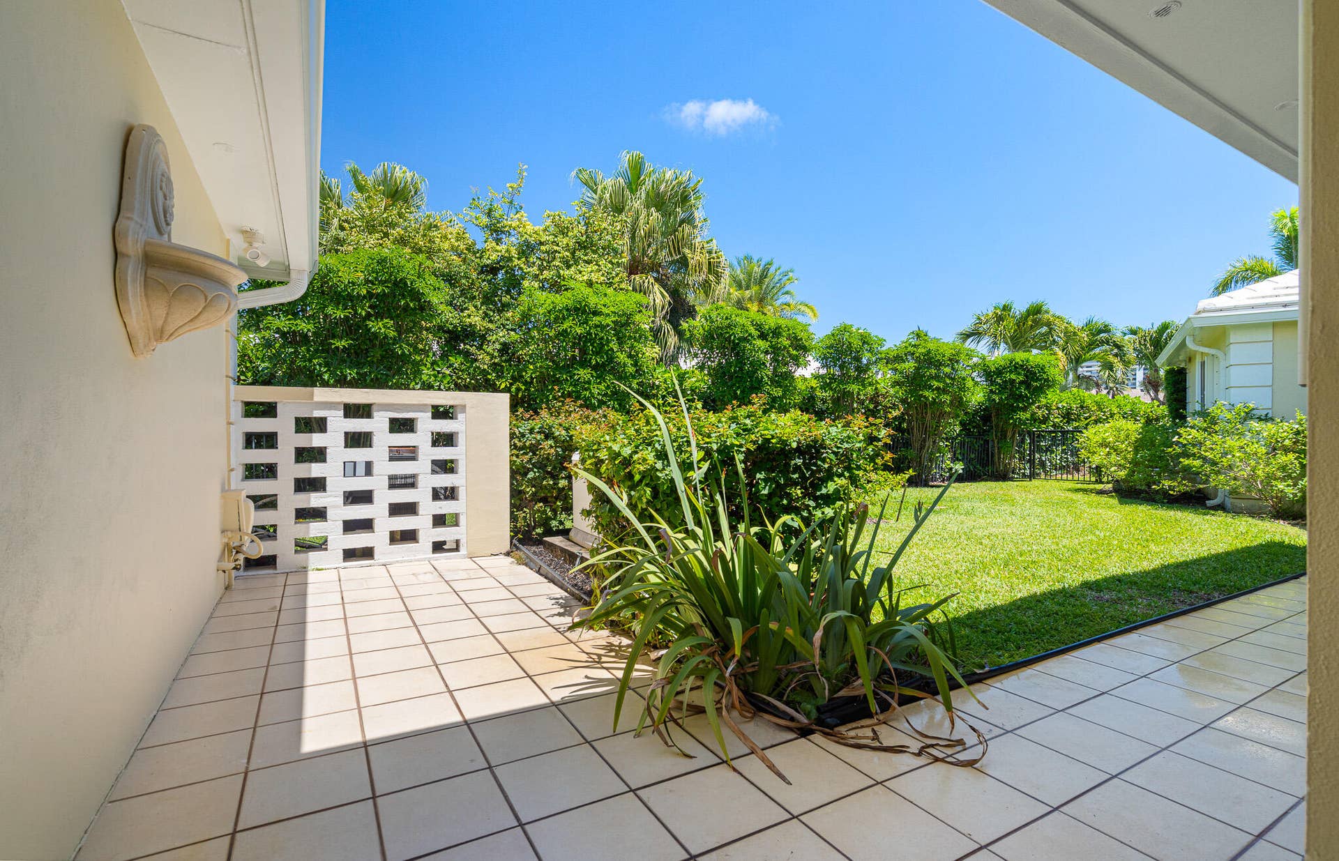 Side Yard