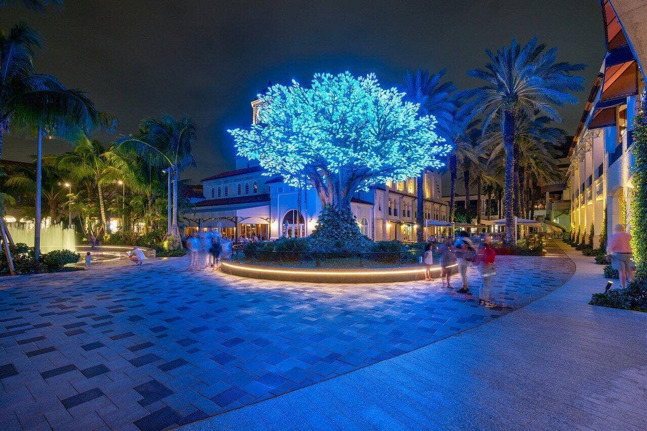 550 Okeechobee Boulevard, #1508, West Palm Beach, FL 33401 CityPlace Wishing Tree