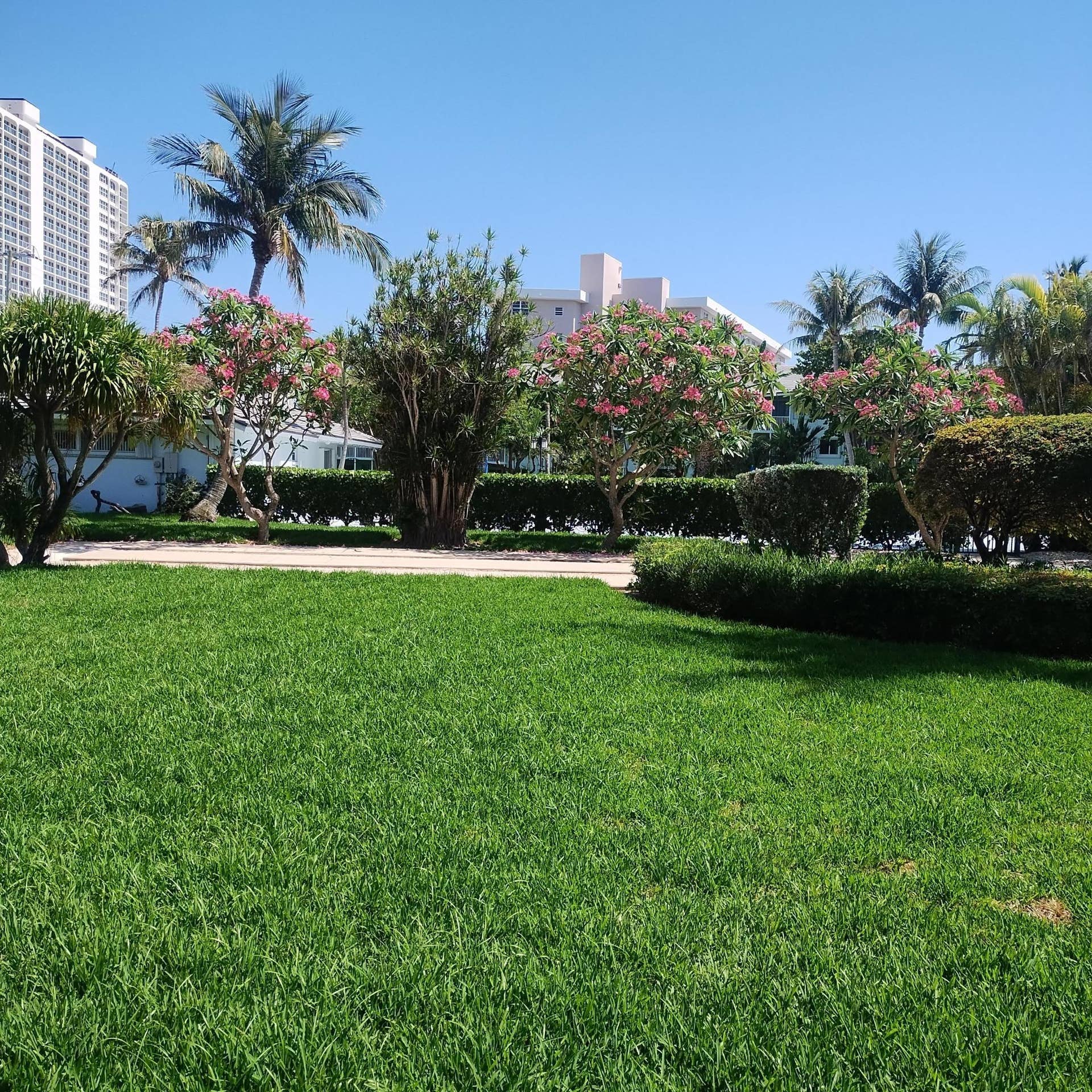 2700 Banyan Road, #c 3, Boca Raton, FL 33432 Back View