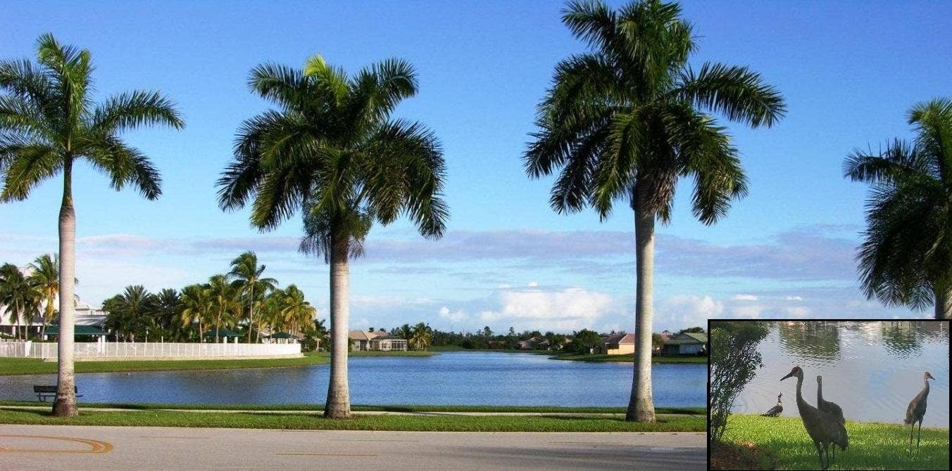 9542 Lantern Bay Circle, West Palm Beach, FL 33411 Lake near clubhouse